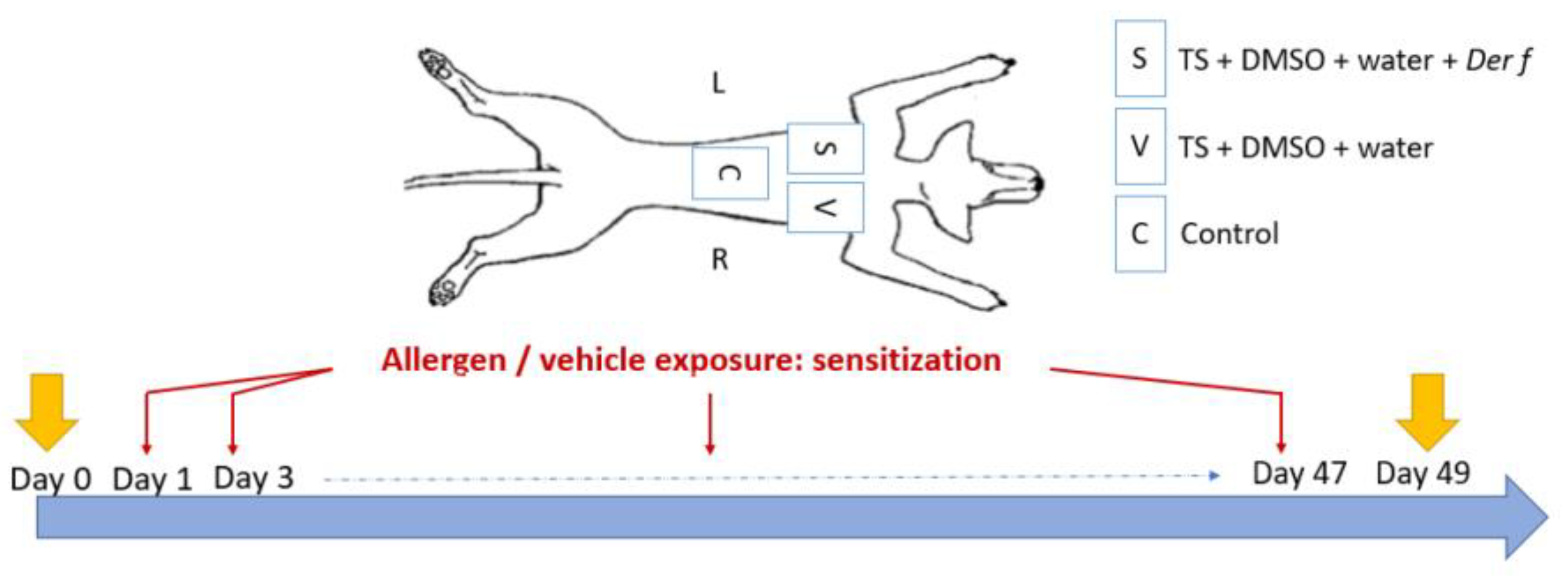 Vetsci 12 00004 g001