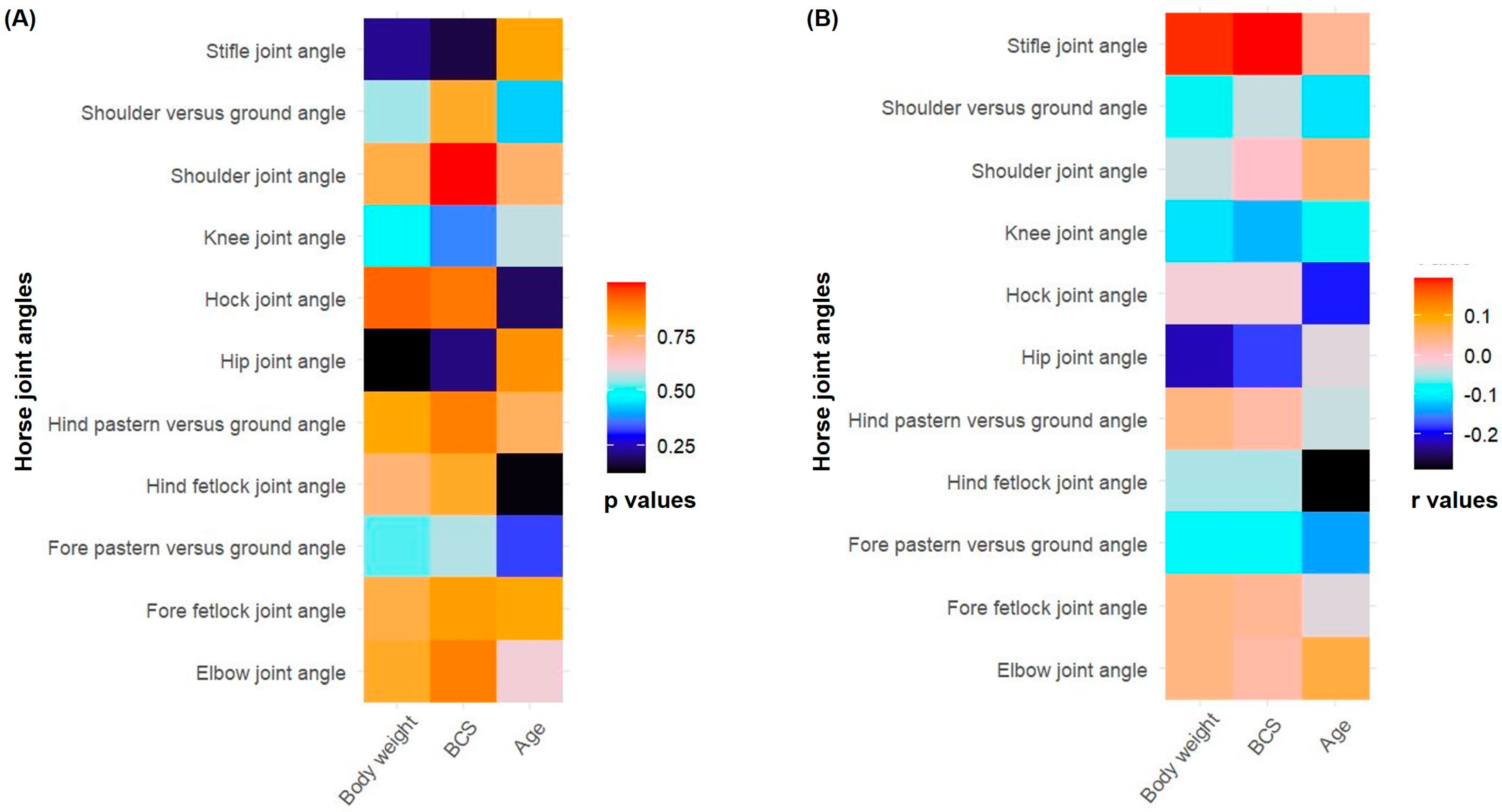 Vetsci 12 00020 g005