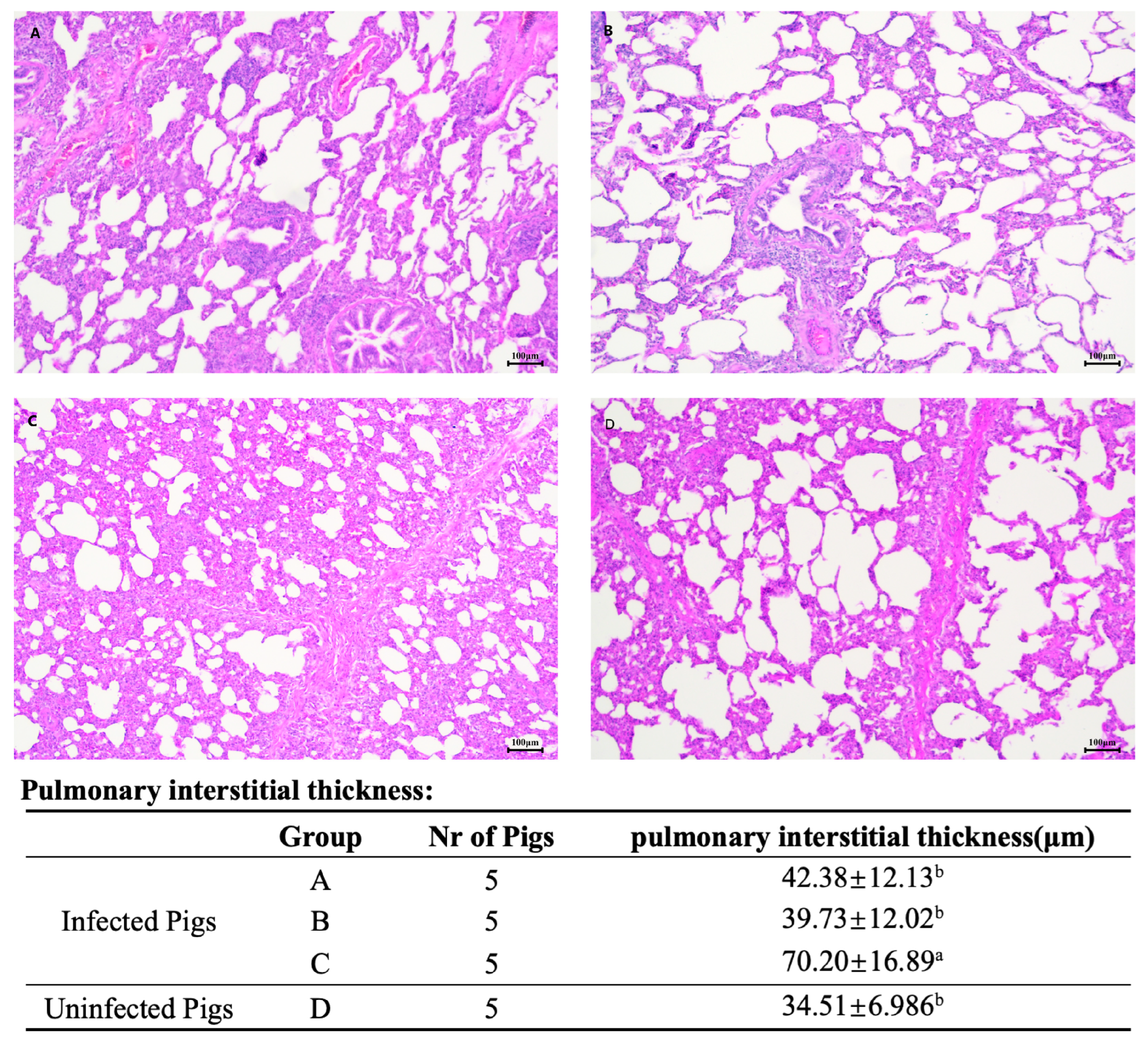 Vetsci 12 00025 g007