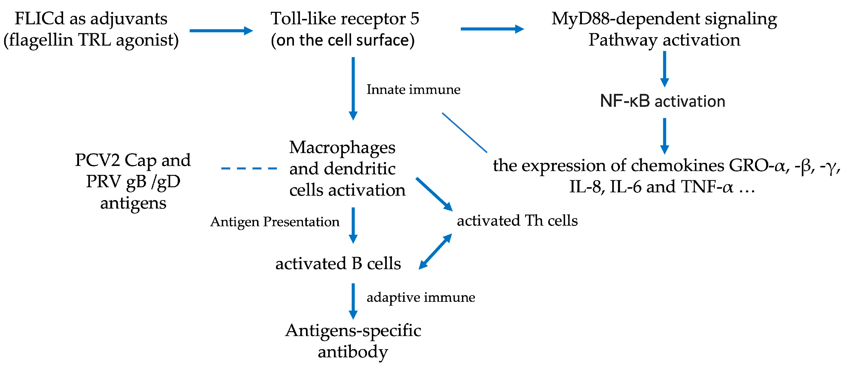 Vetsci 12 00025 g008