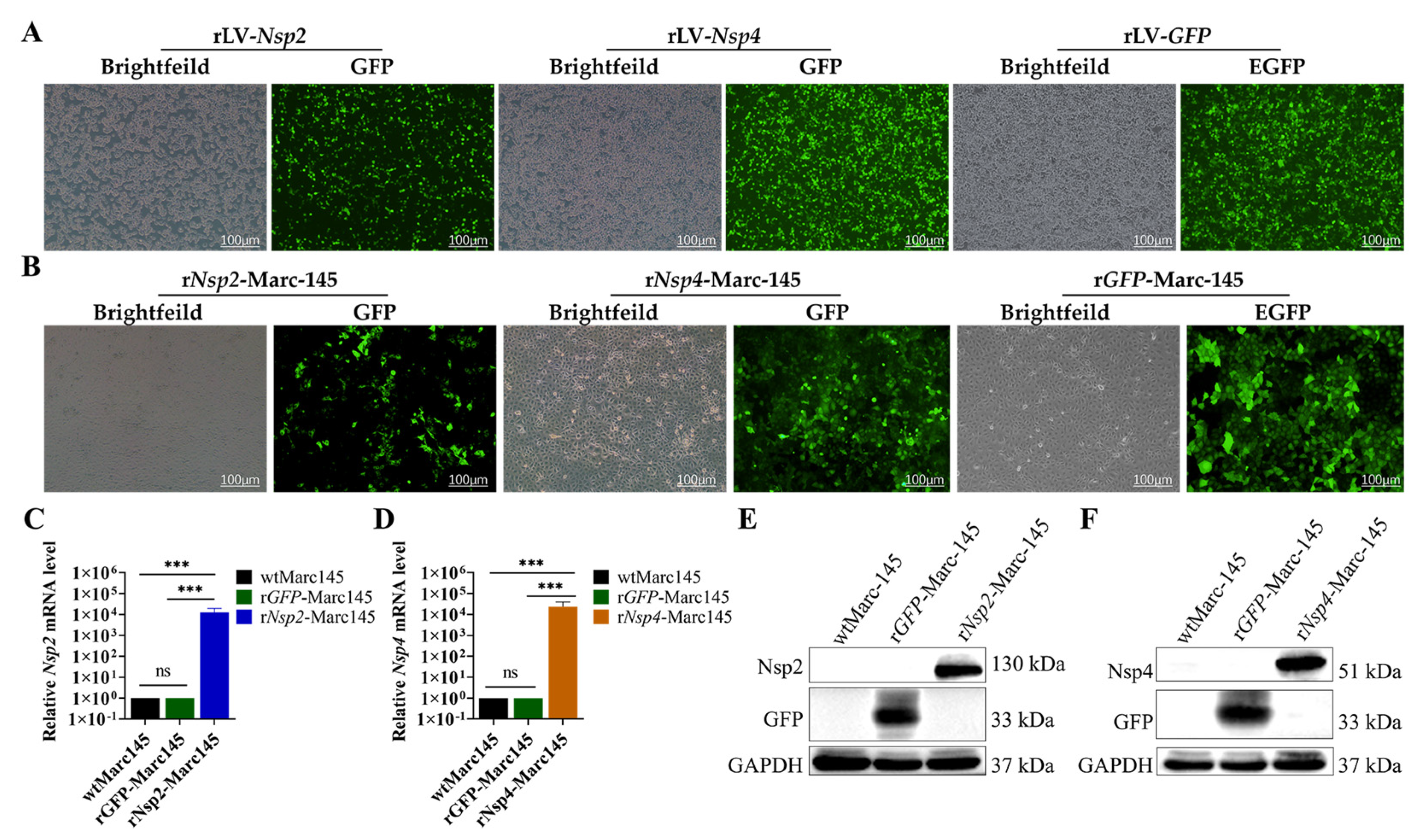Vetsci 12 00052 g001