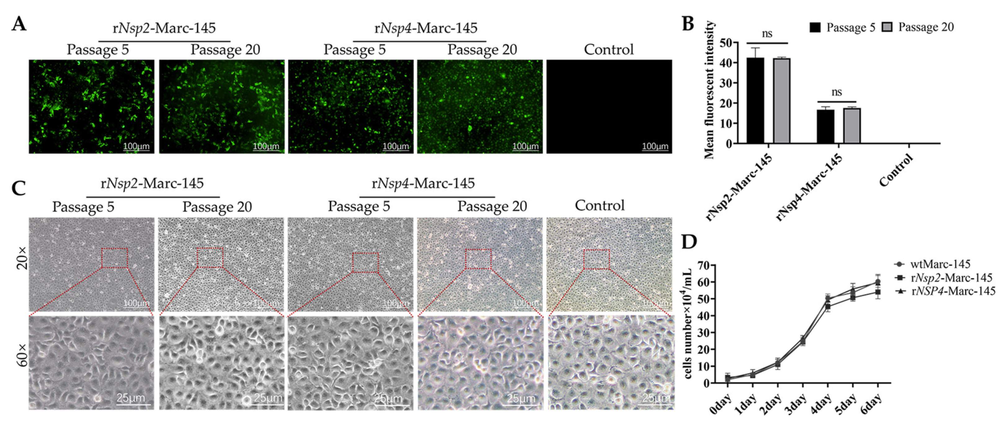 Vetsci 12 00052 g002