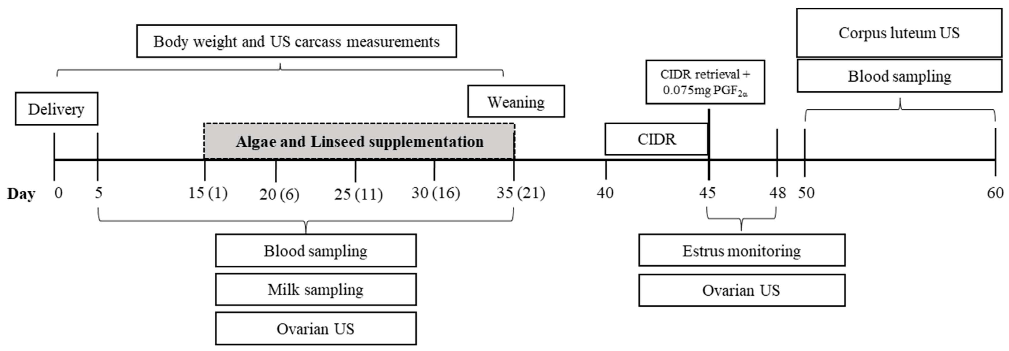 Vetsci 12 00060 g001