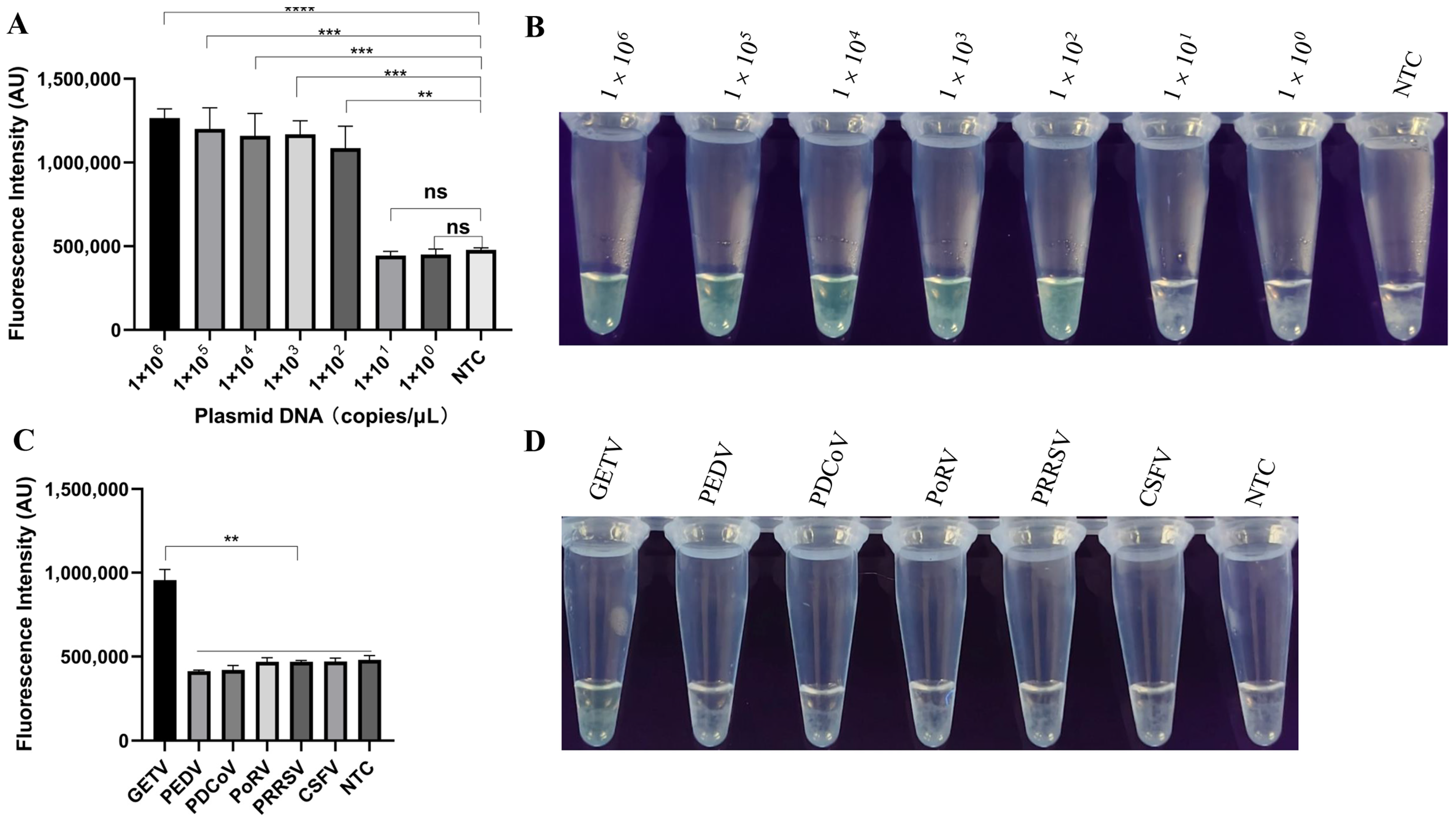 Vetsci 12 00093 g004