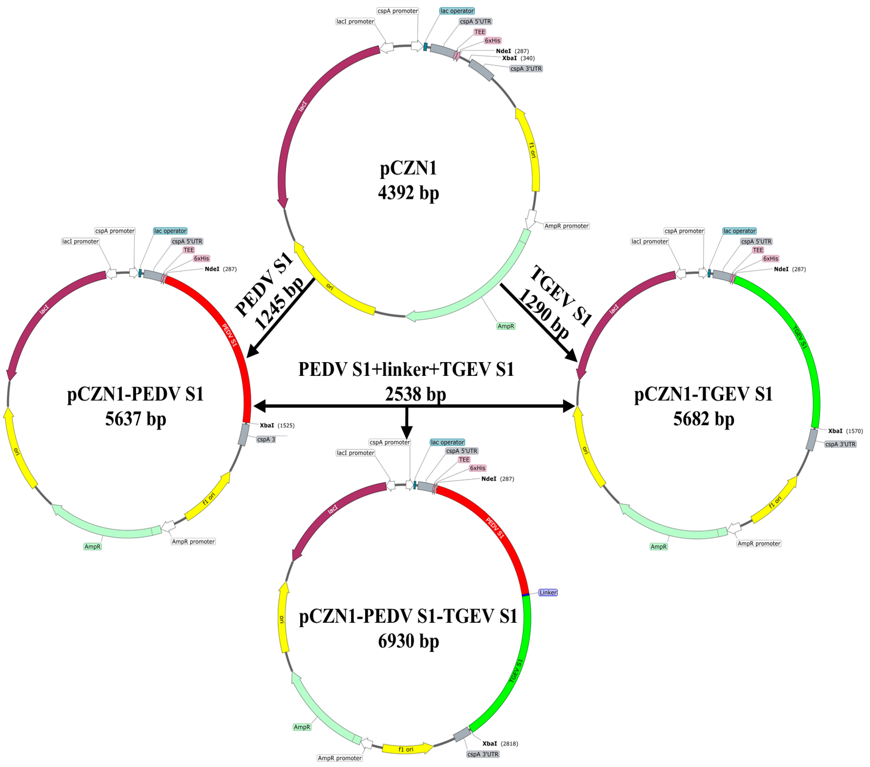 Vetsci 12 00106 g001