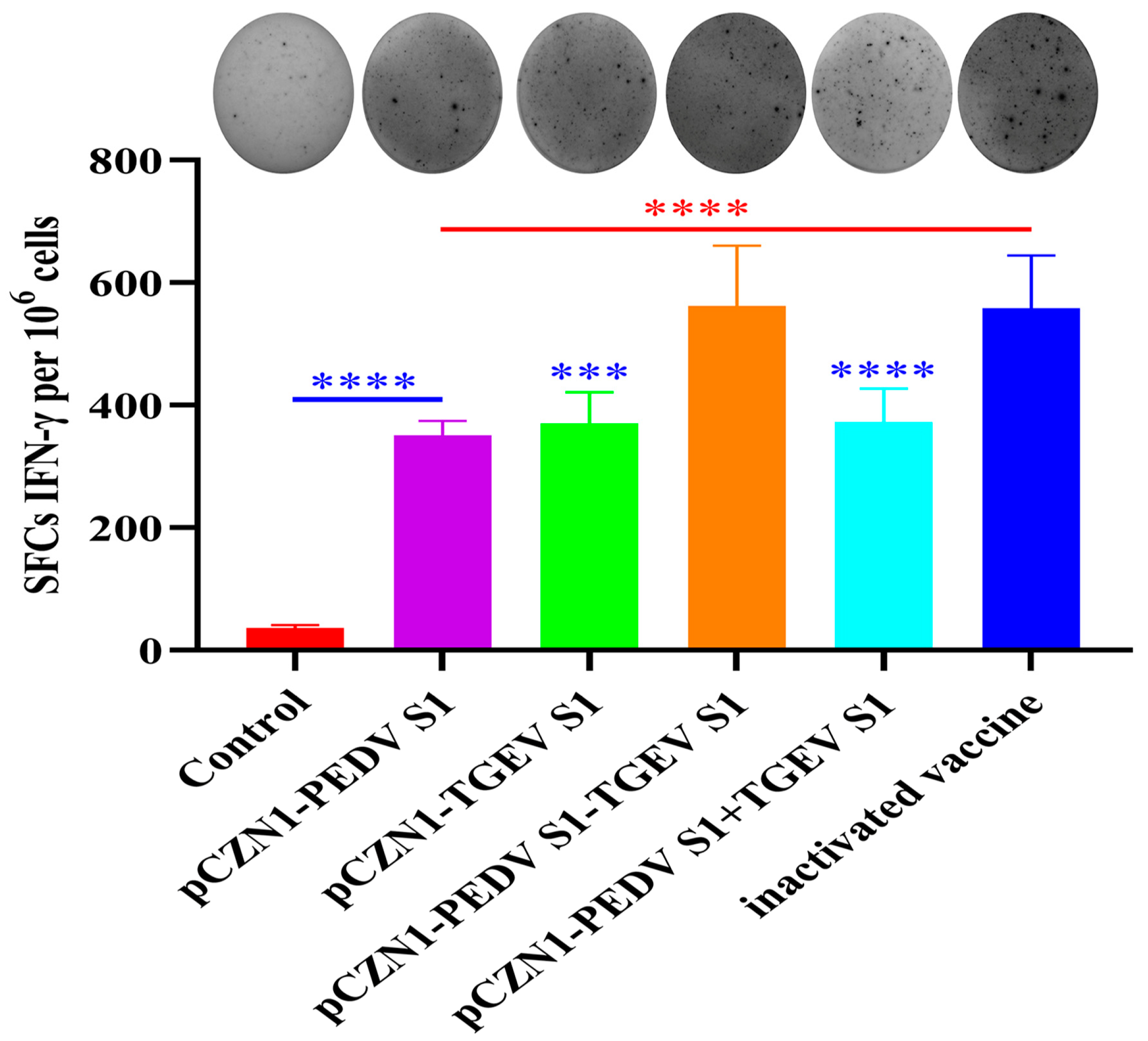 Vetsci 12 00106 g006