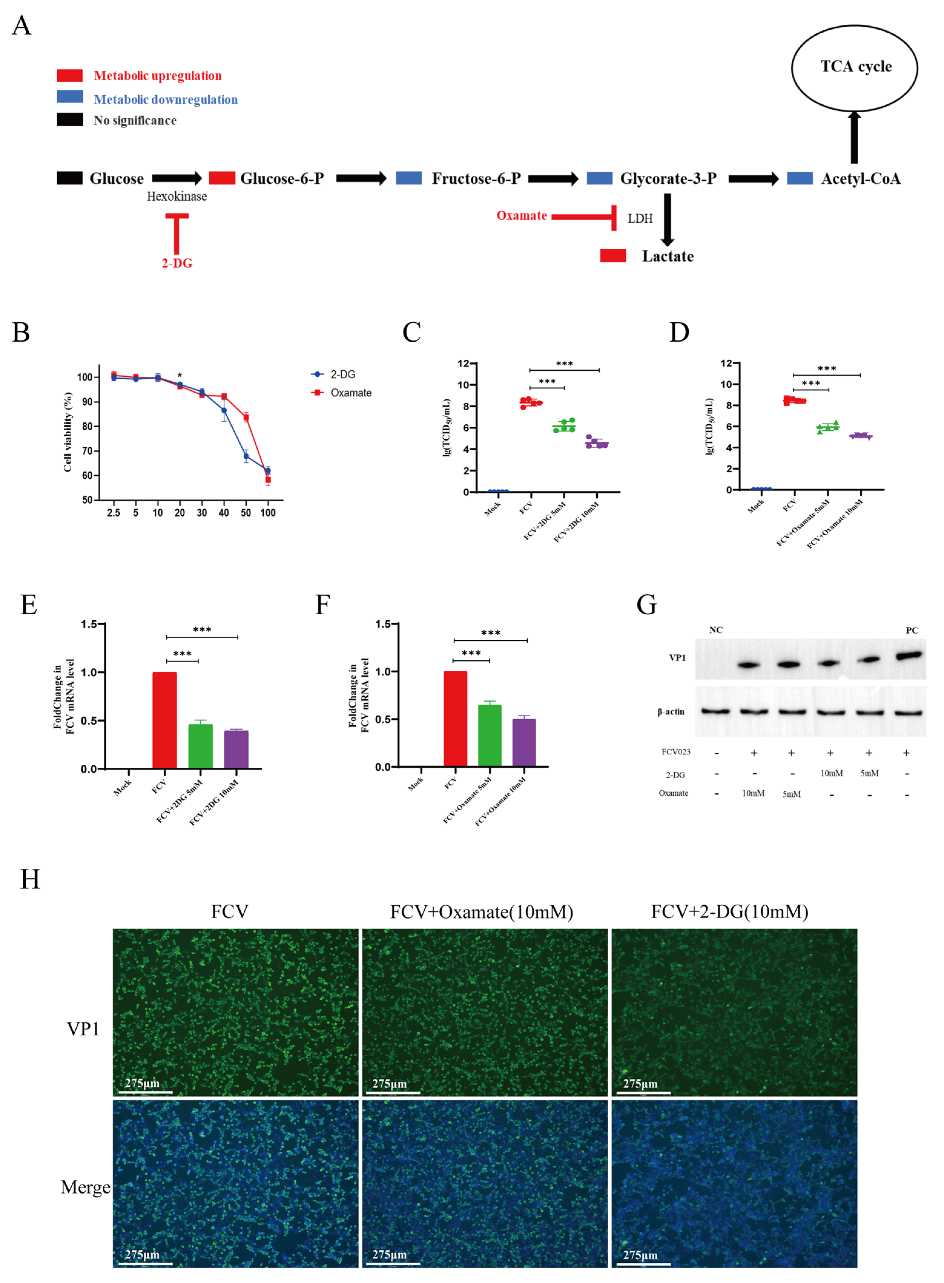 Vetsci 12 00138 g003
