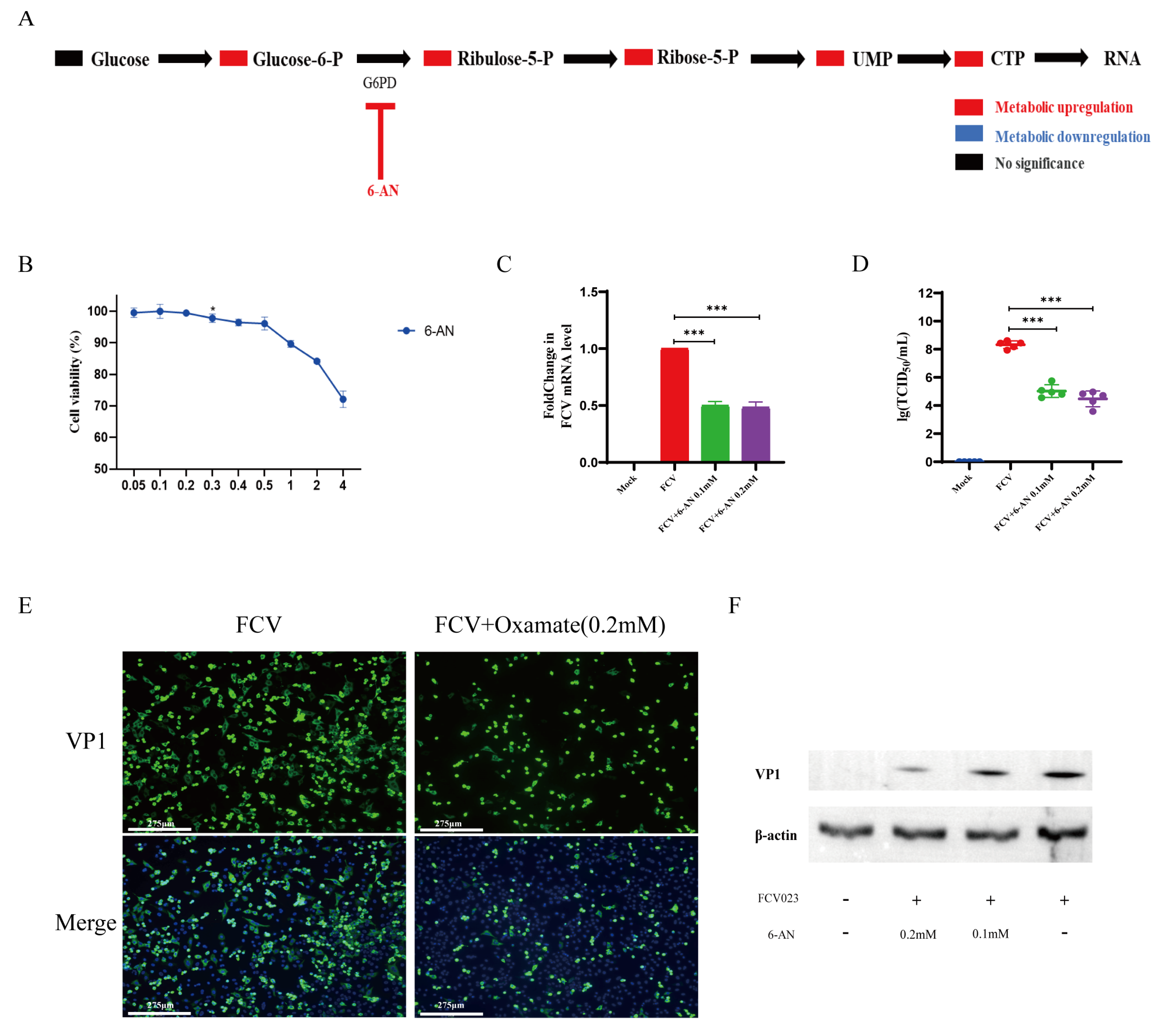 Vetsci 12 00138 g004