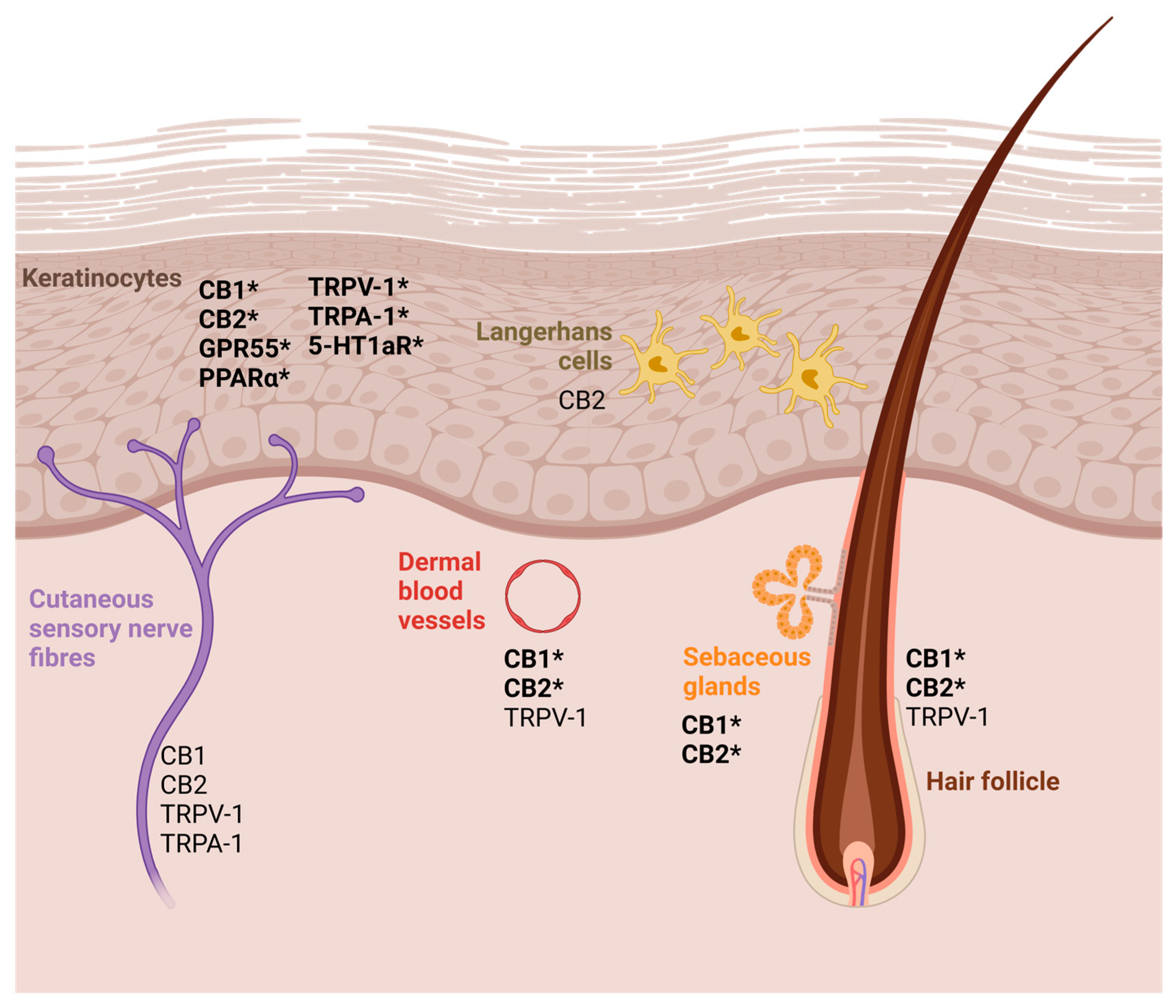 Vetsci 12 00159 g001