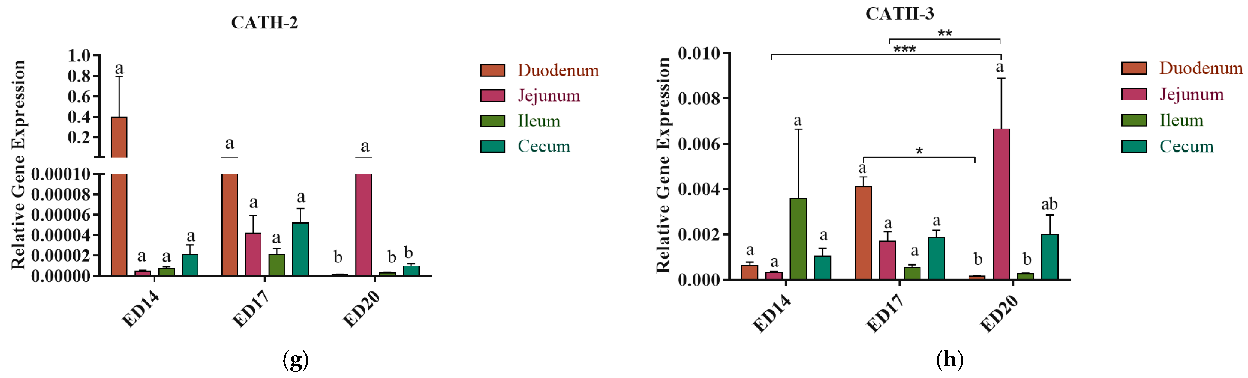 Vetsci 12 00186 g002b