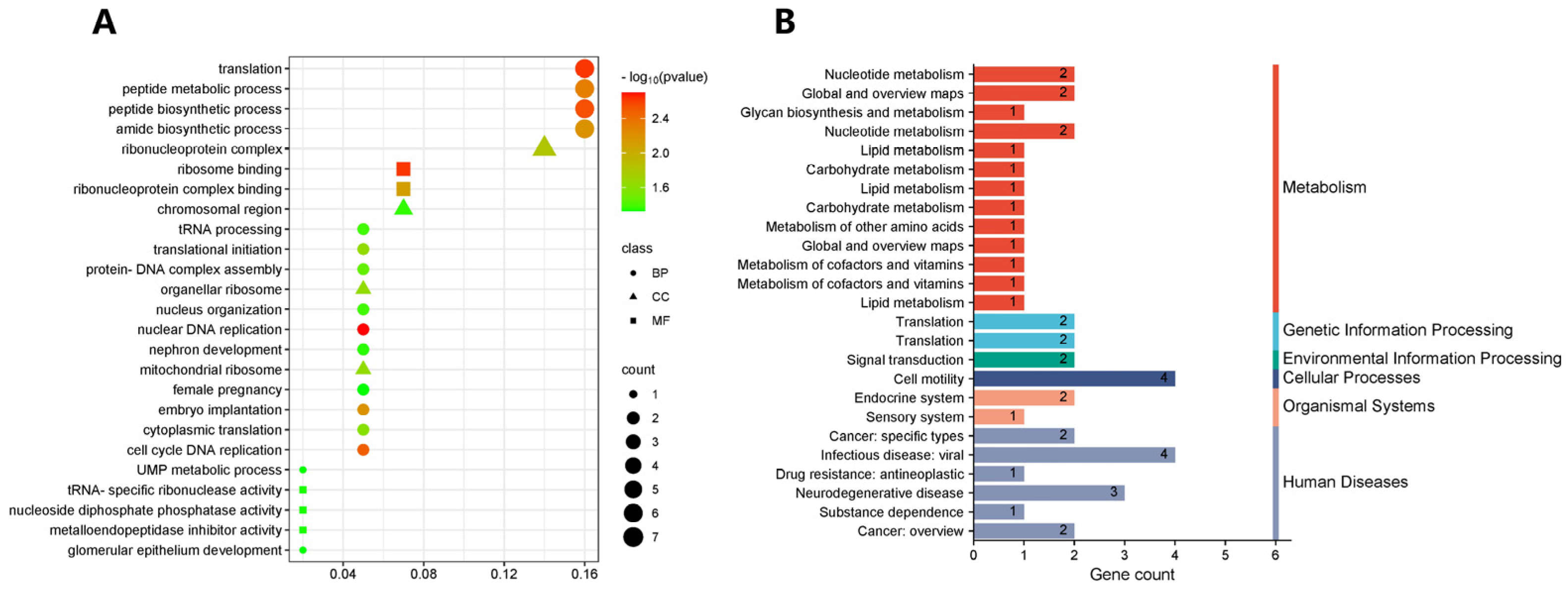 Vetsci 12 00192 g005