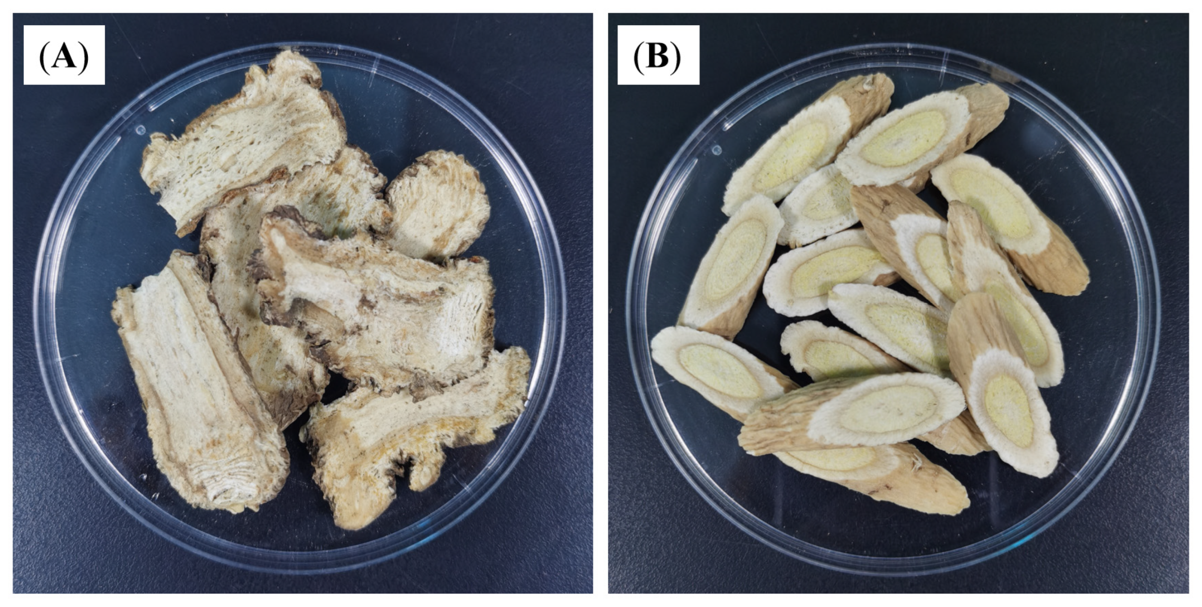 Vetsci 12 00227 g001