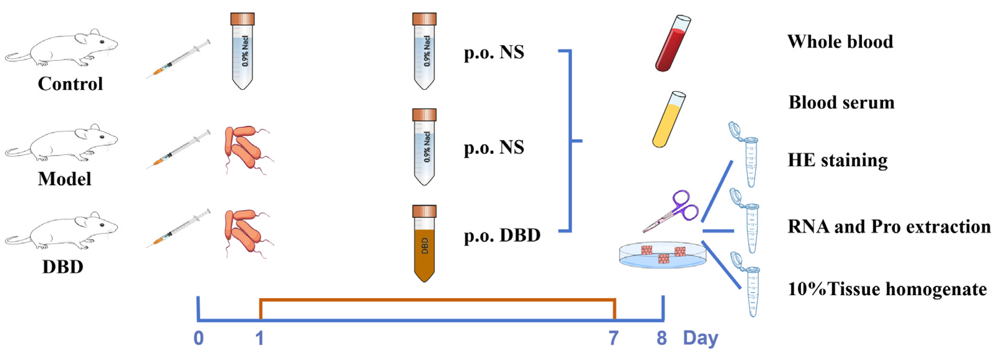 Vetsci 12 00227 g003