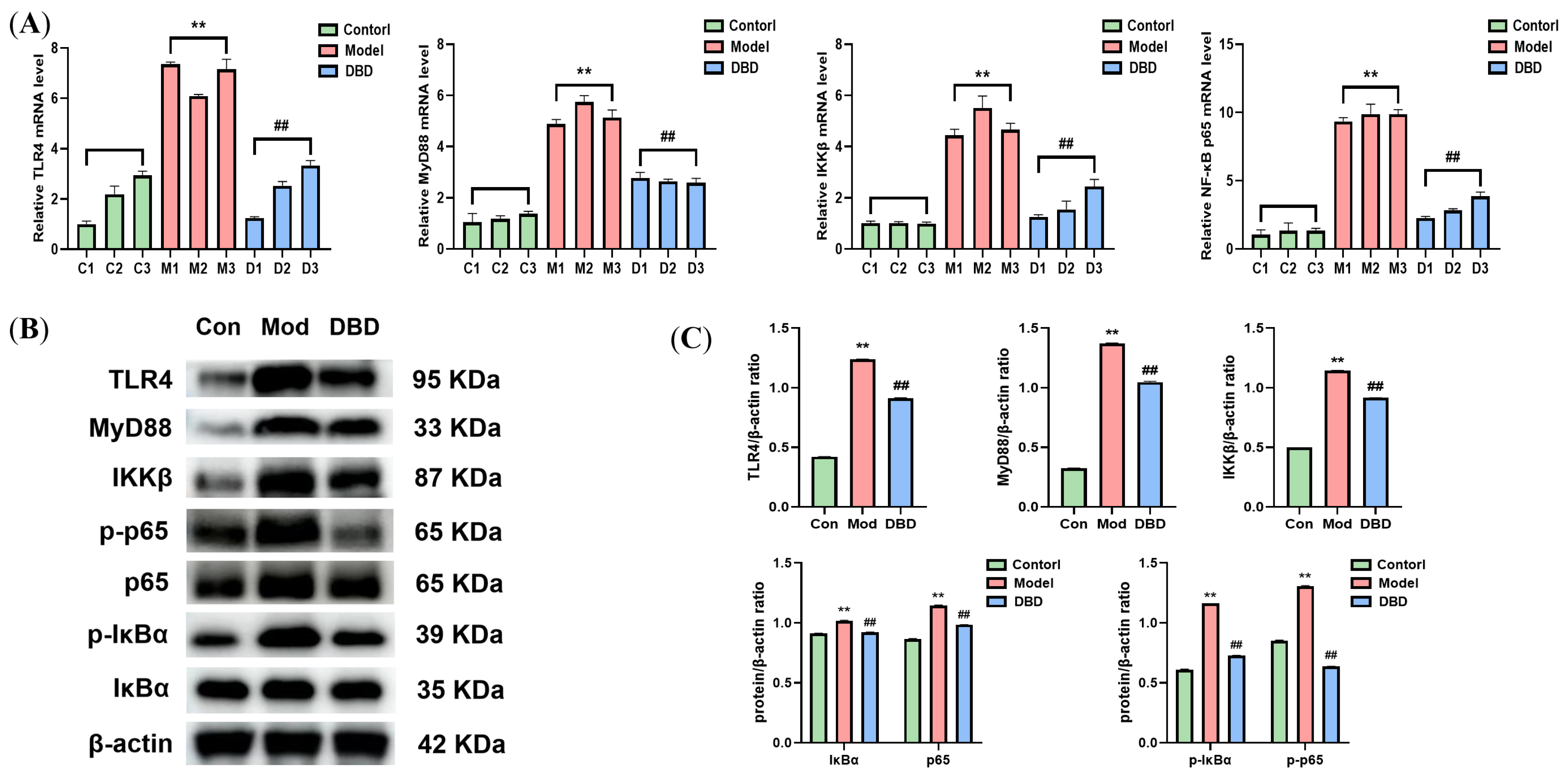 Vetsci 12 00227 g011