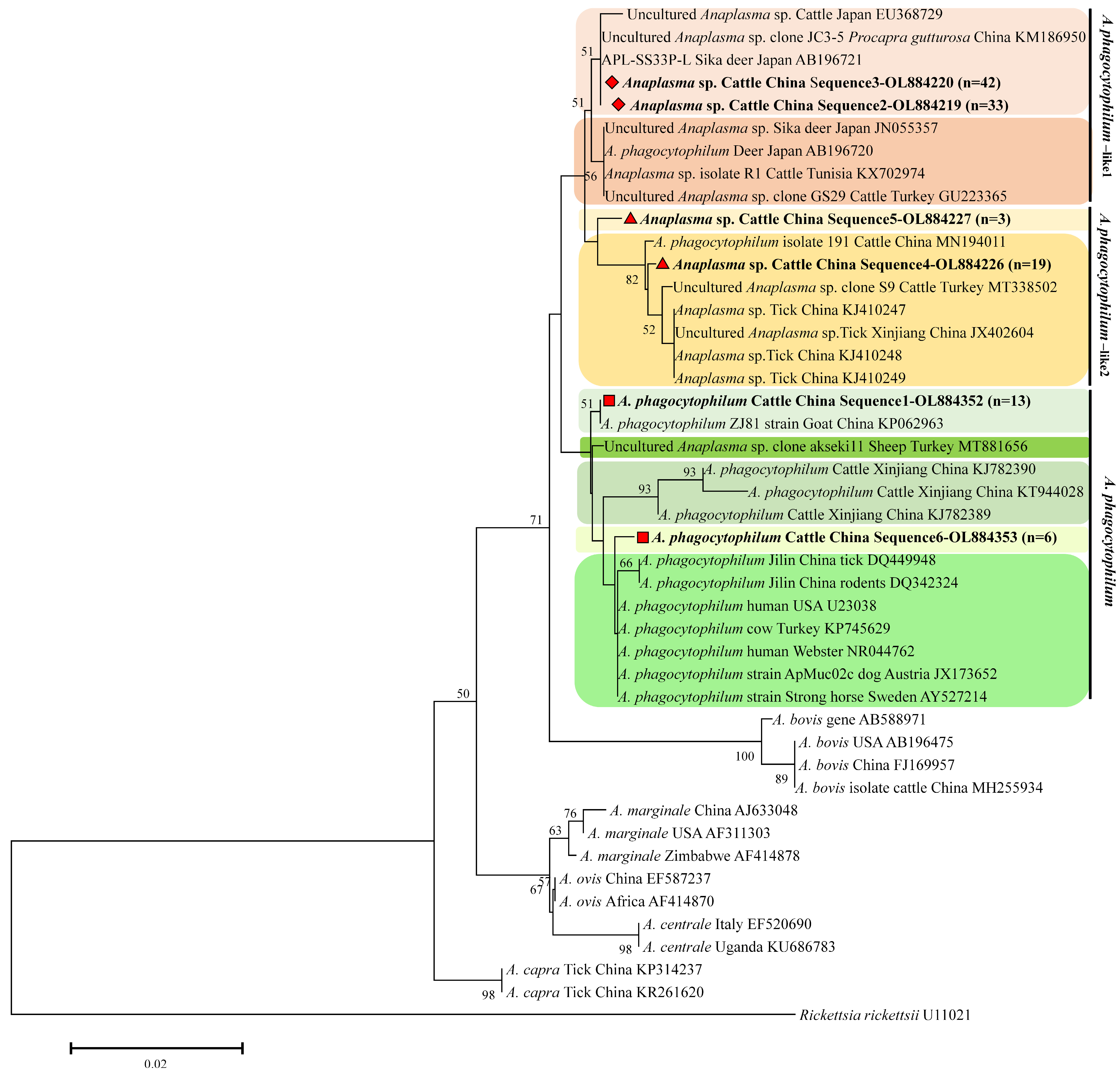 Vetsci 12 00252 g003 Vetsci 12 00252 g003
