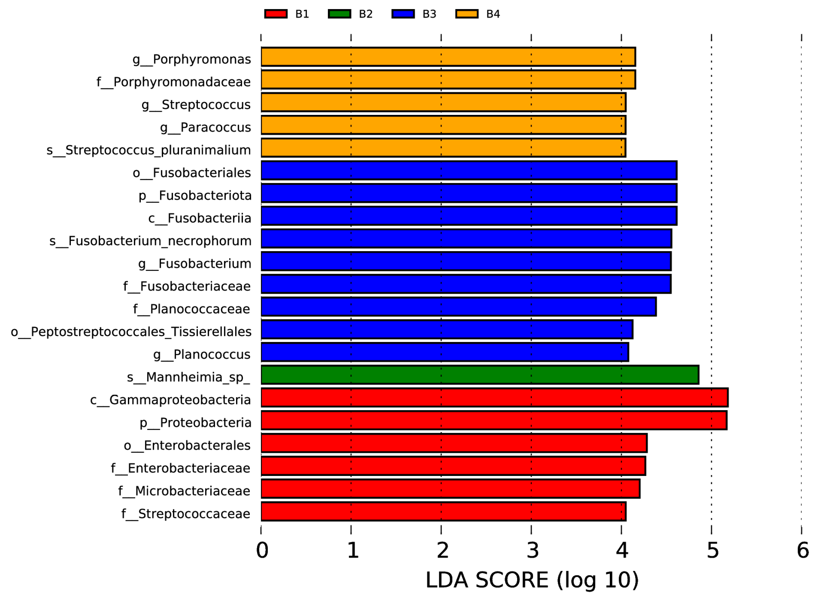 Vetsci 12 00275 g005