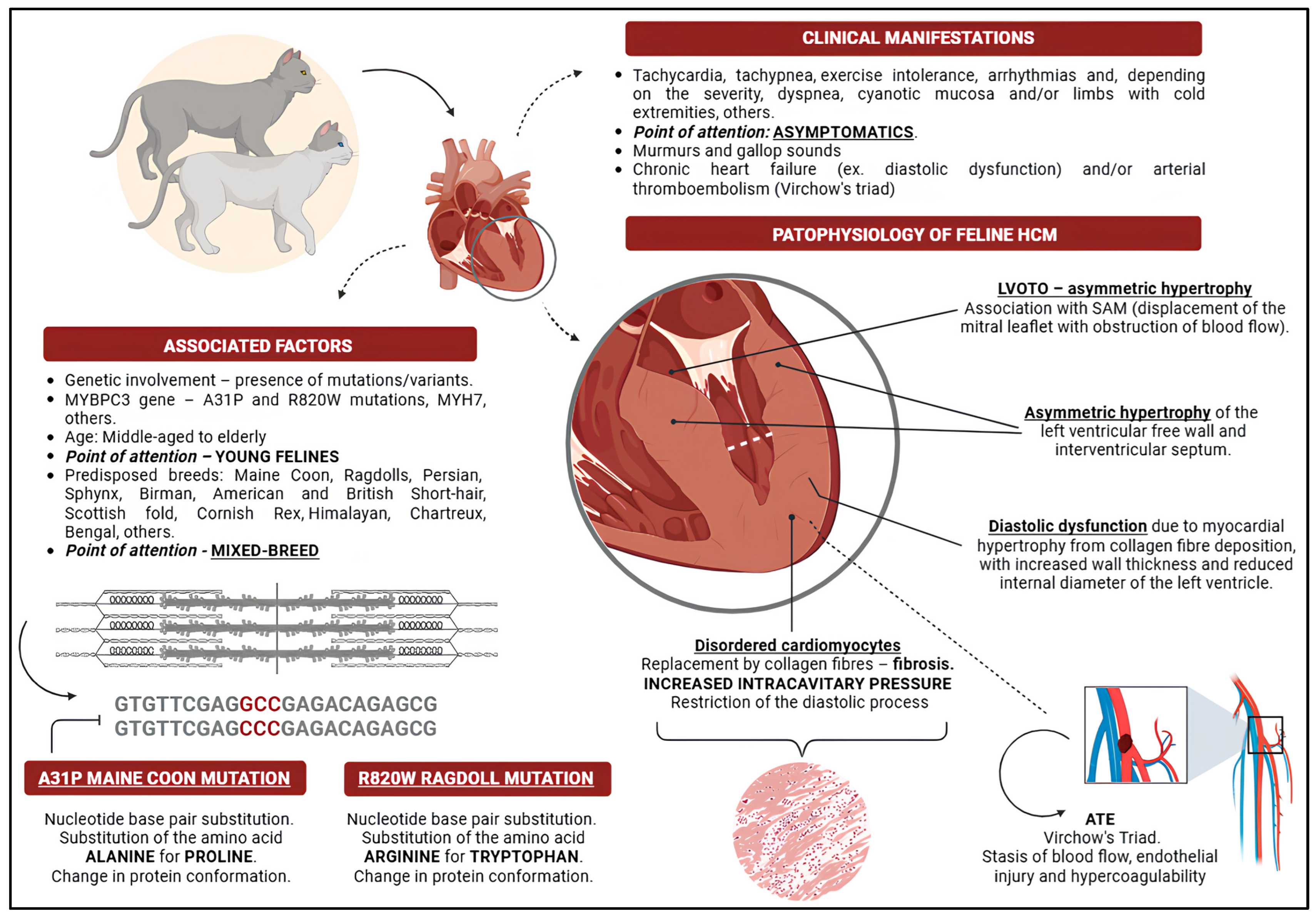 Vetsci 12 00289 g001