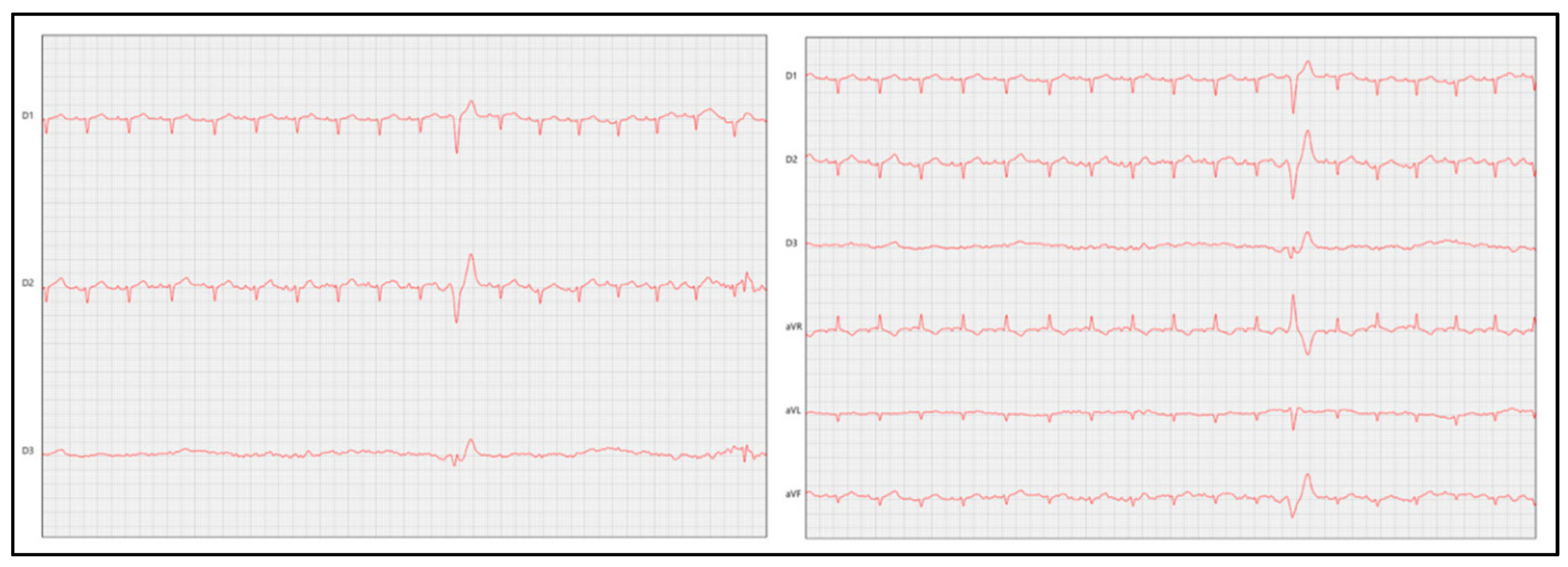Vetsci 12 00289 g004