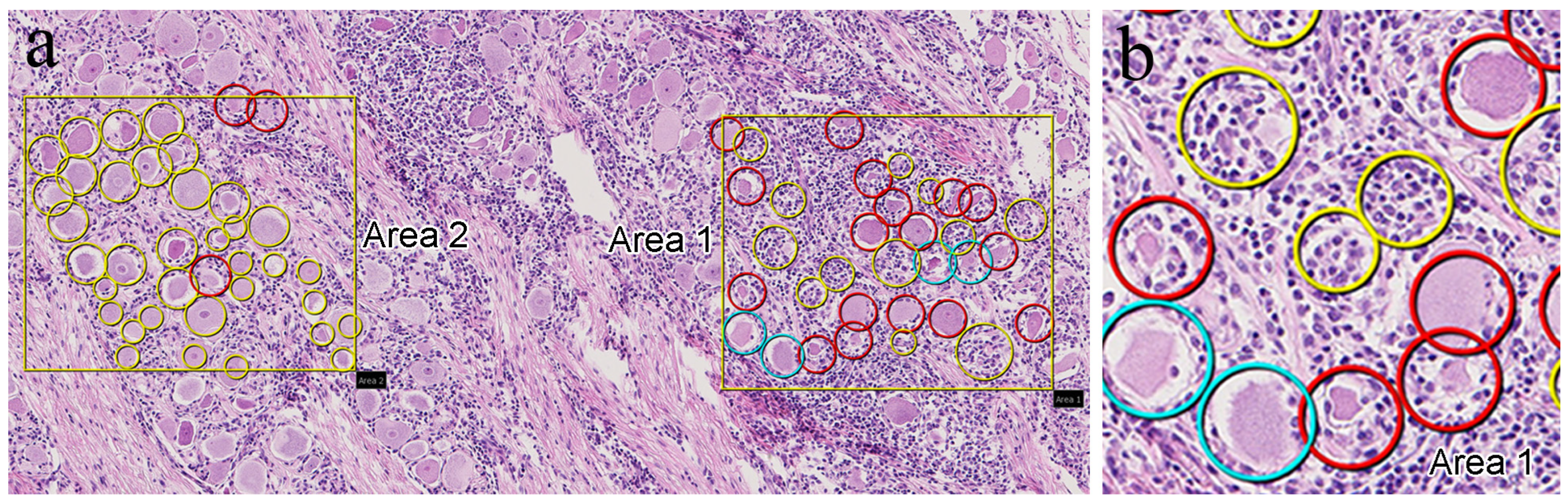 Vetsci 12 00299 g001