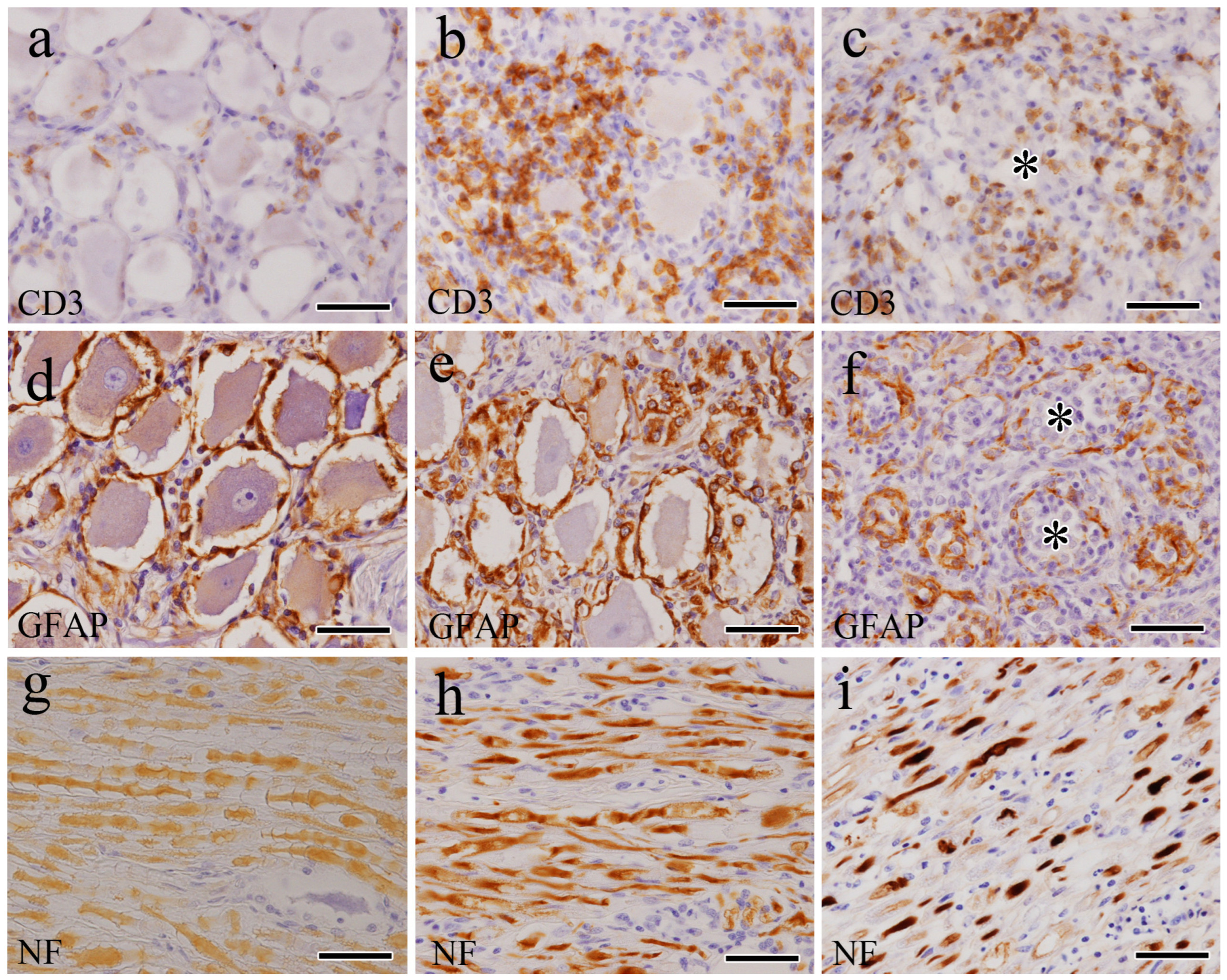 Vetsci 12 00299 g004