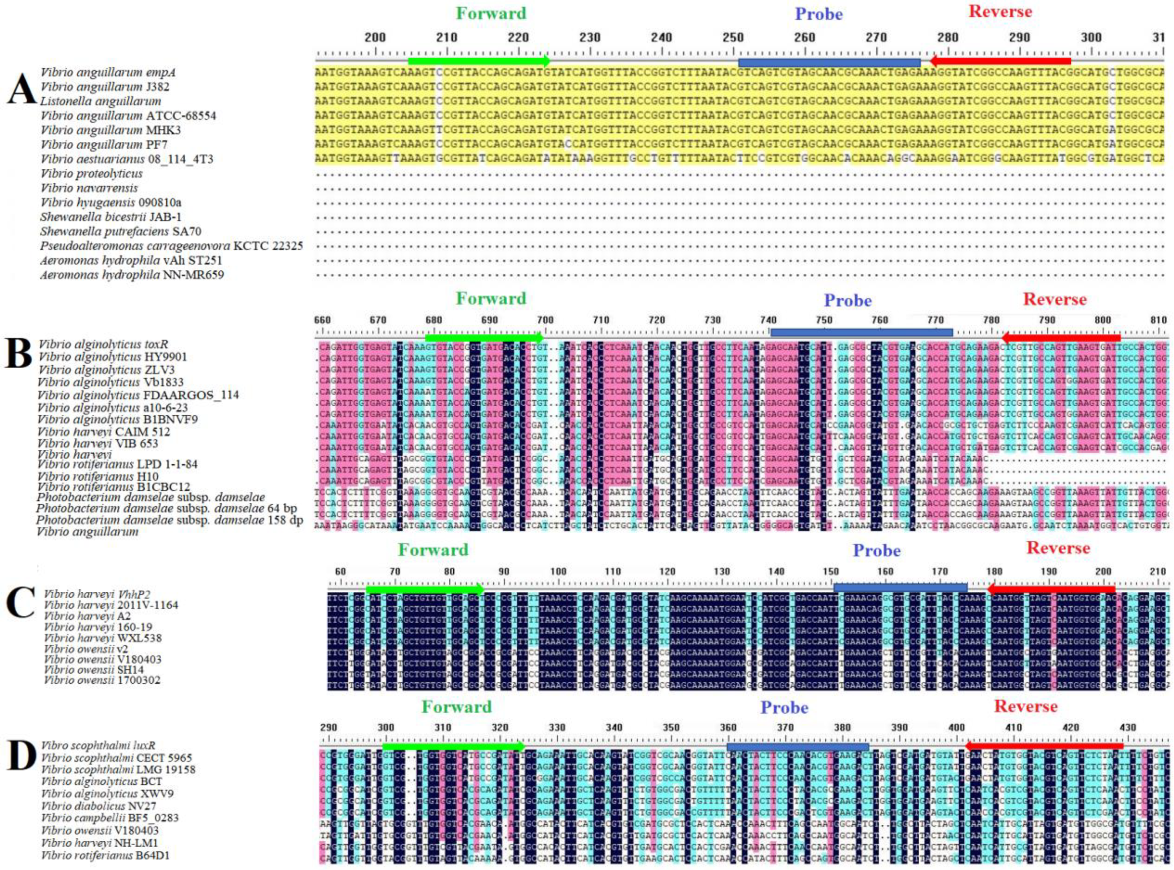 Vetsci 12 00327 g001