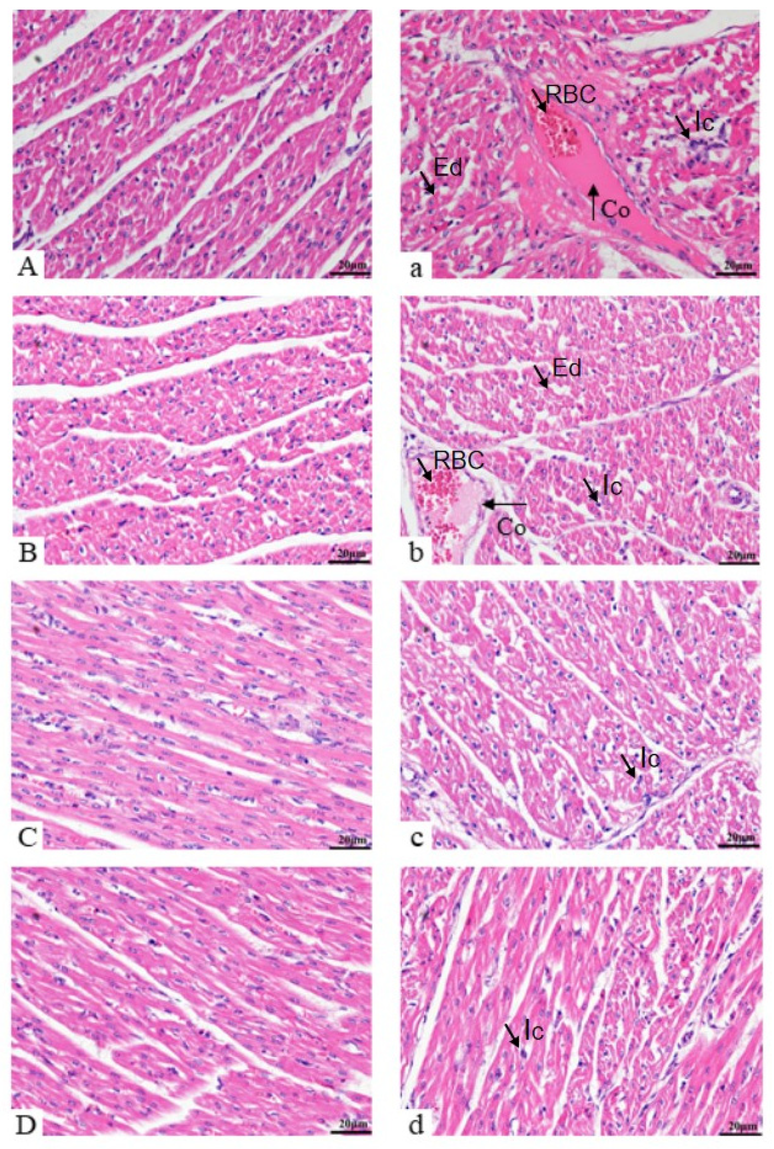 Vetsci 12 00330 g002