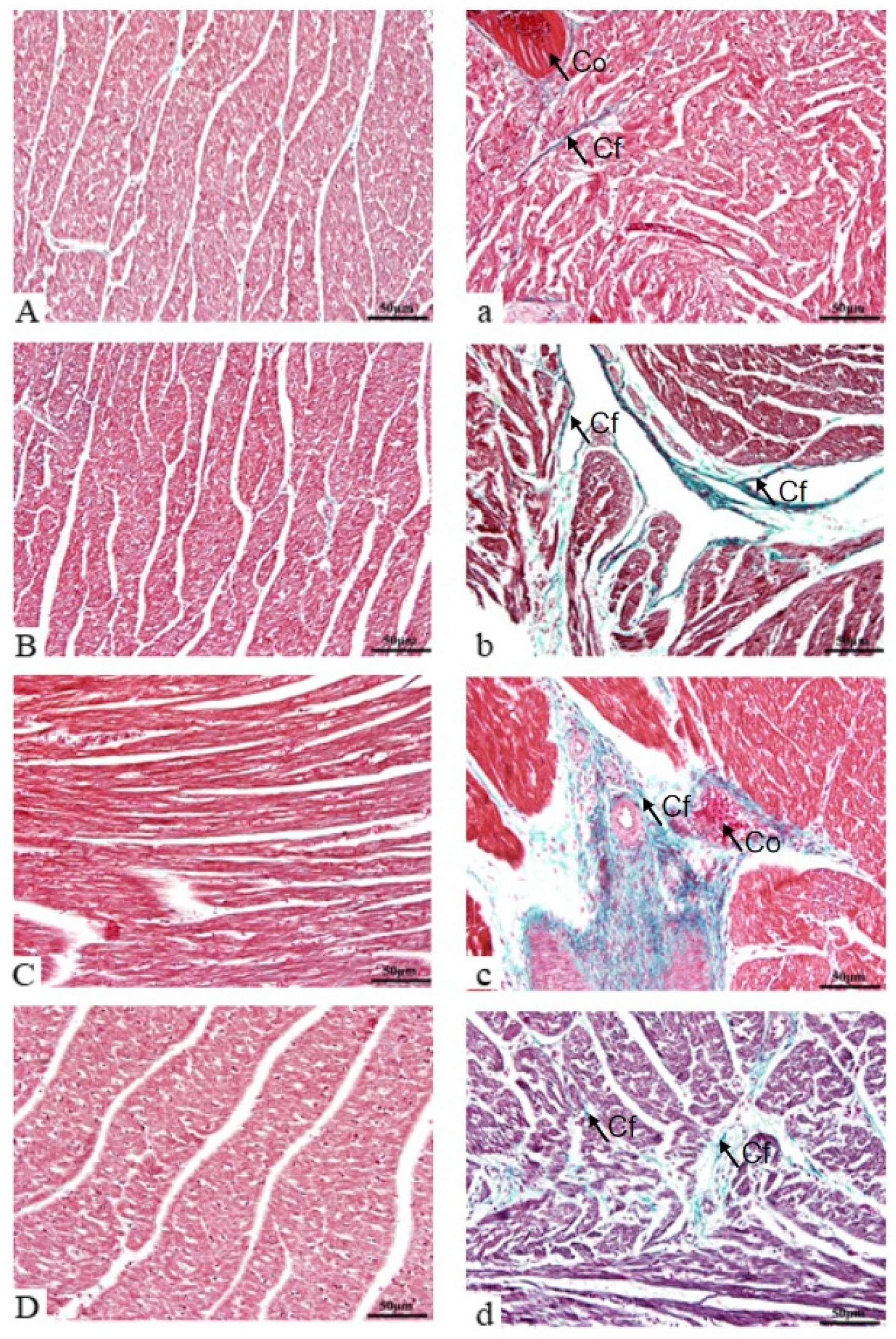Vetsci 12 00330 g003