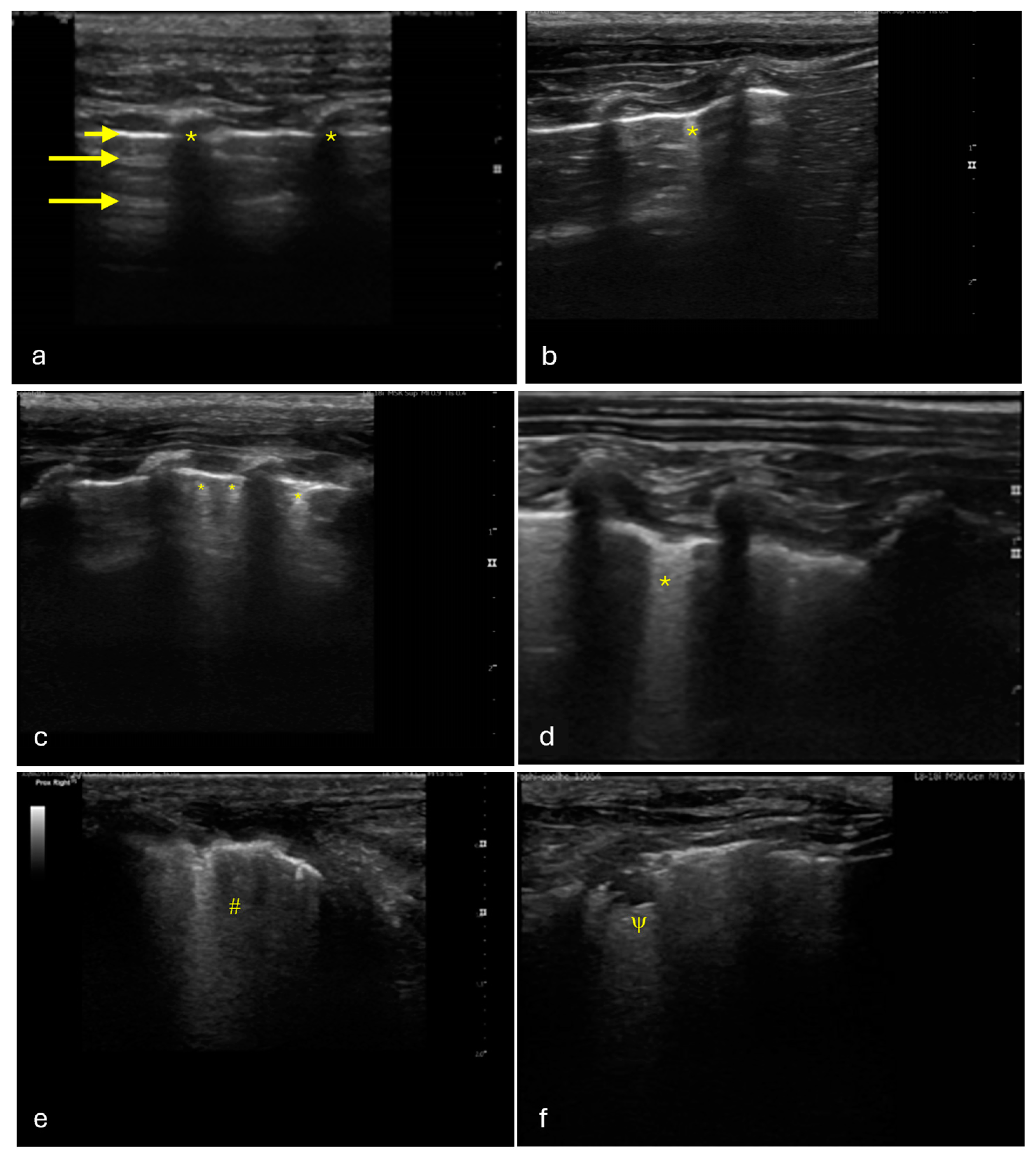 Vetsci 12 00340 g001