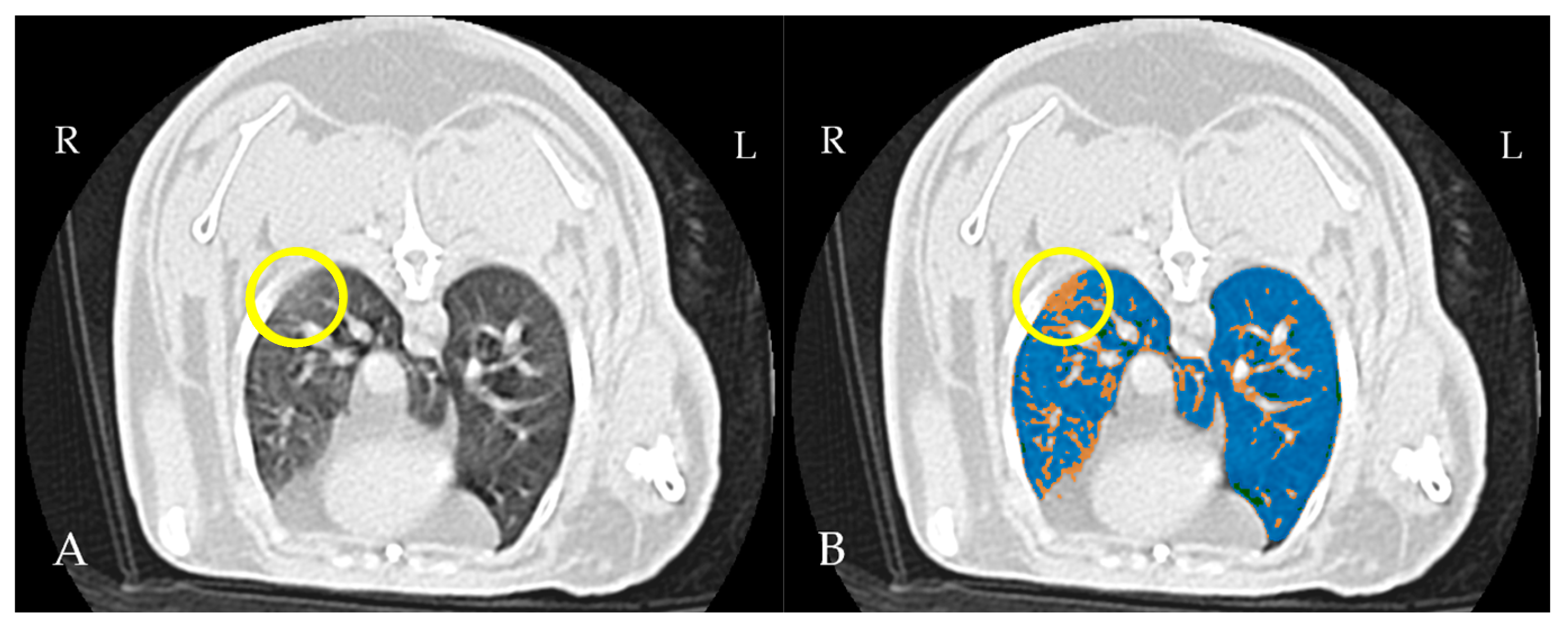 Vetsci 12 00340 g002