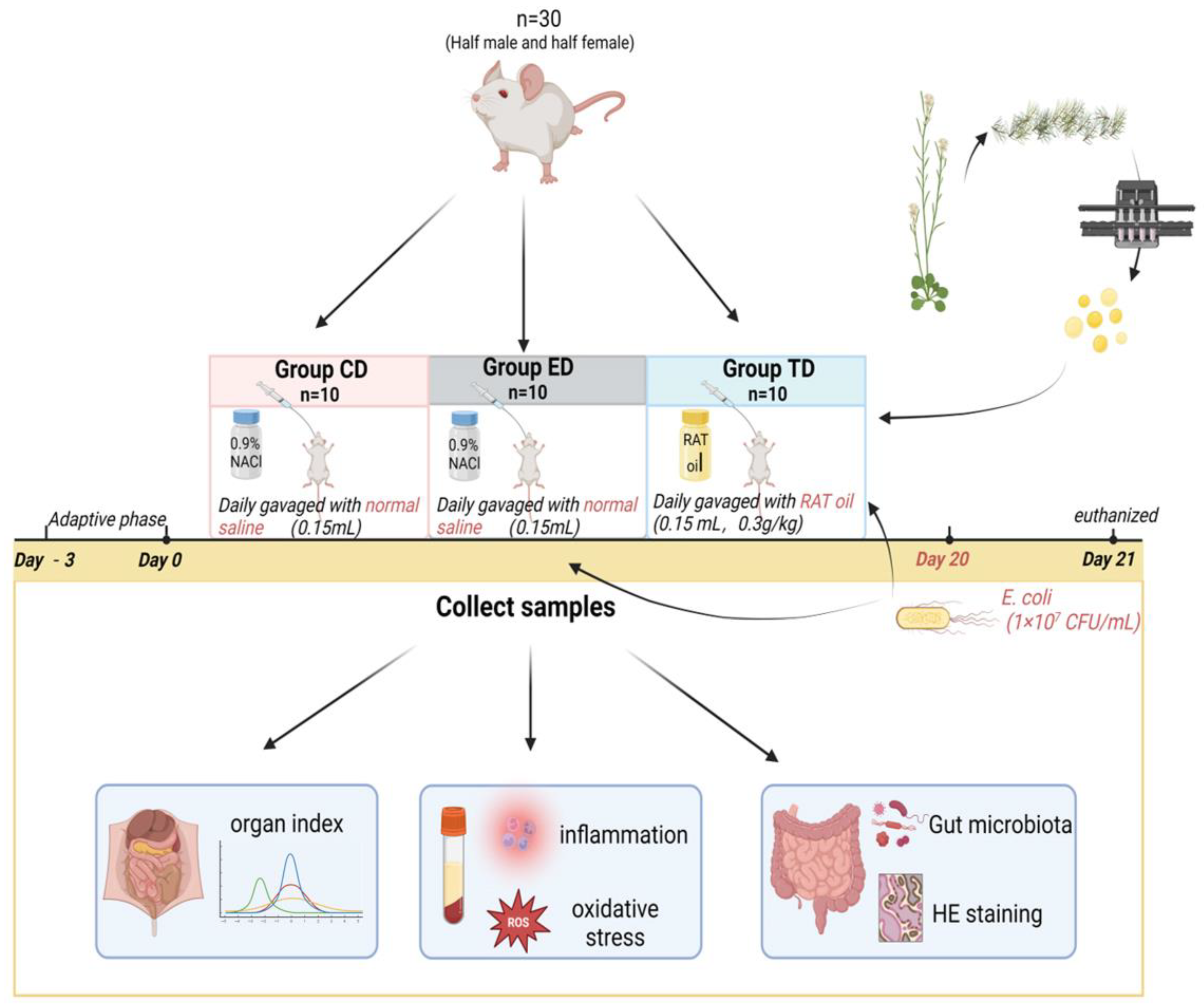 Vetsci 12 00354 g001