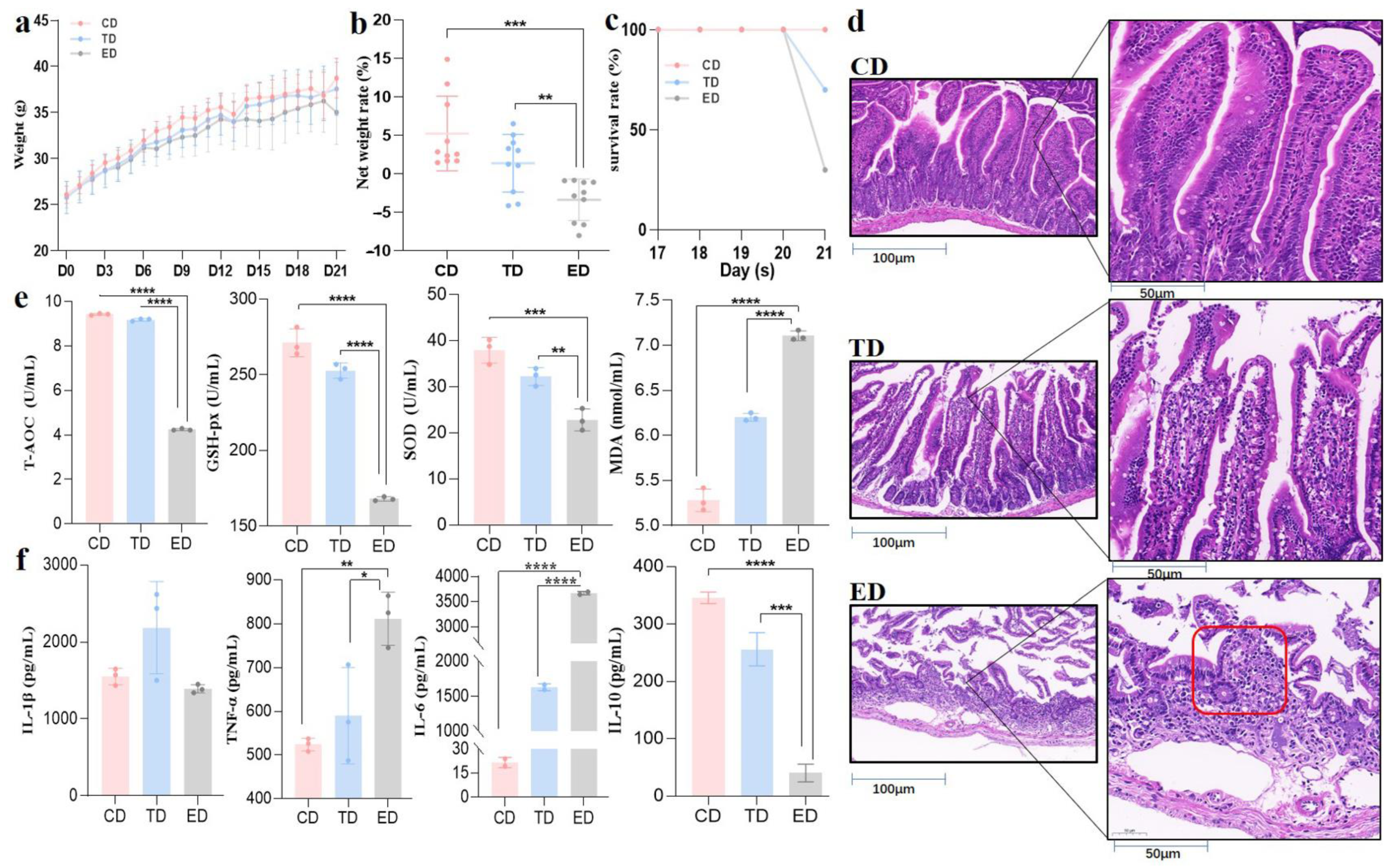 Vetsci 12 00354 g002