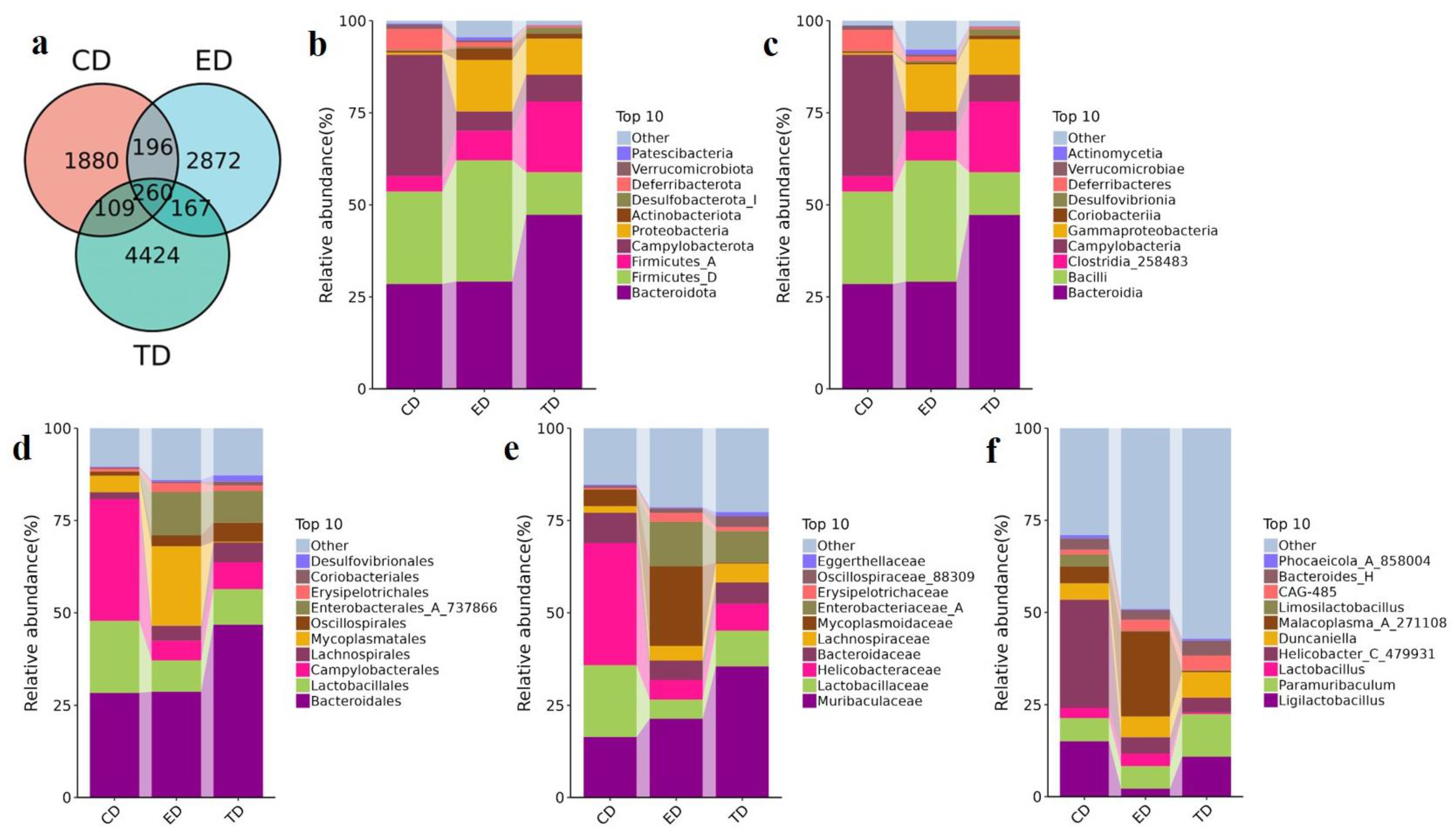 Vetsci 12 00354 g005