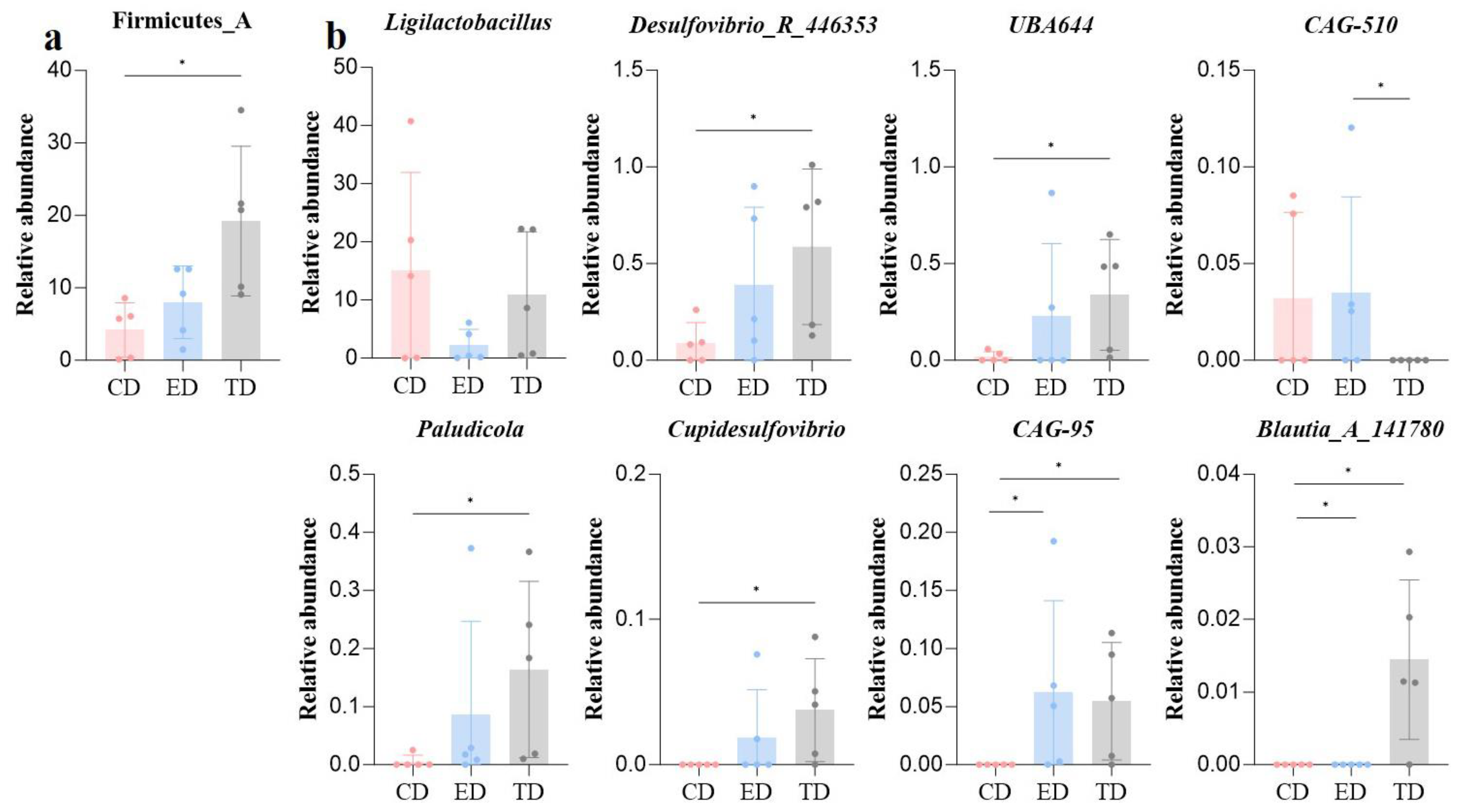 Vetsci 12 00354 g006