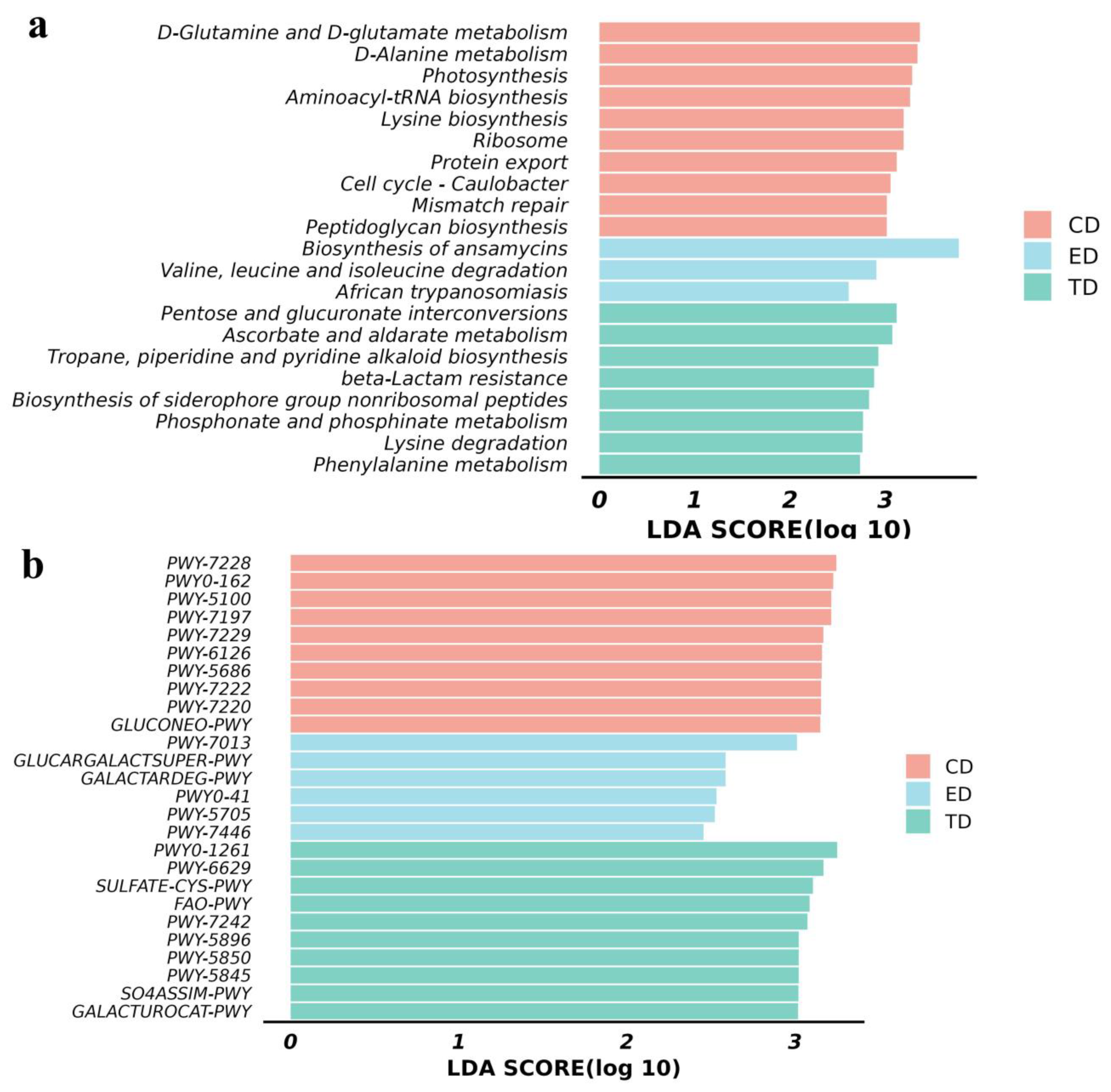 Vetsci 12 00354 g007