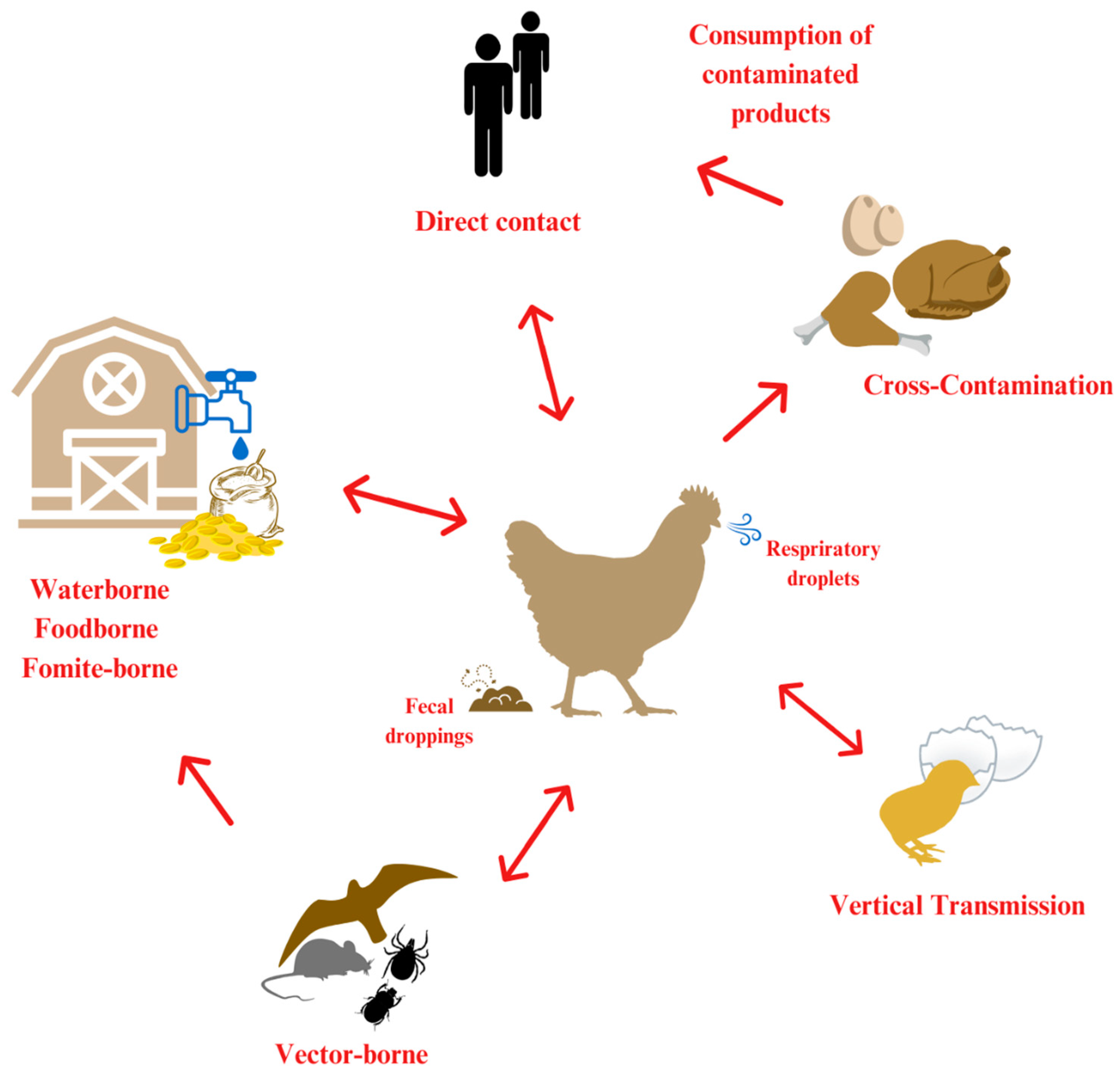 Vetsci 12 00391 g001