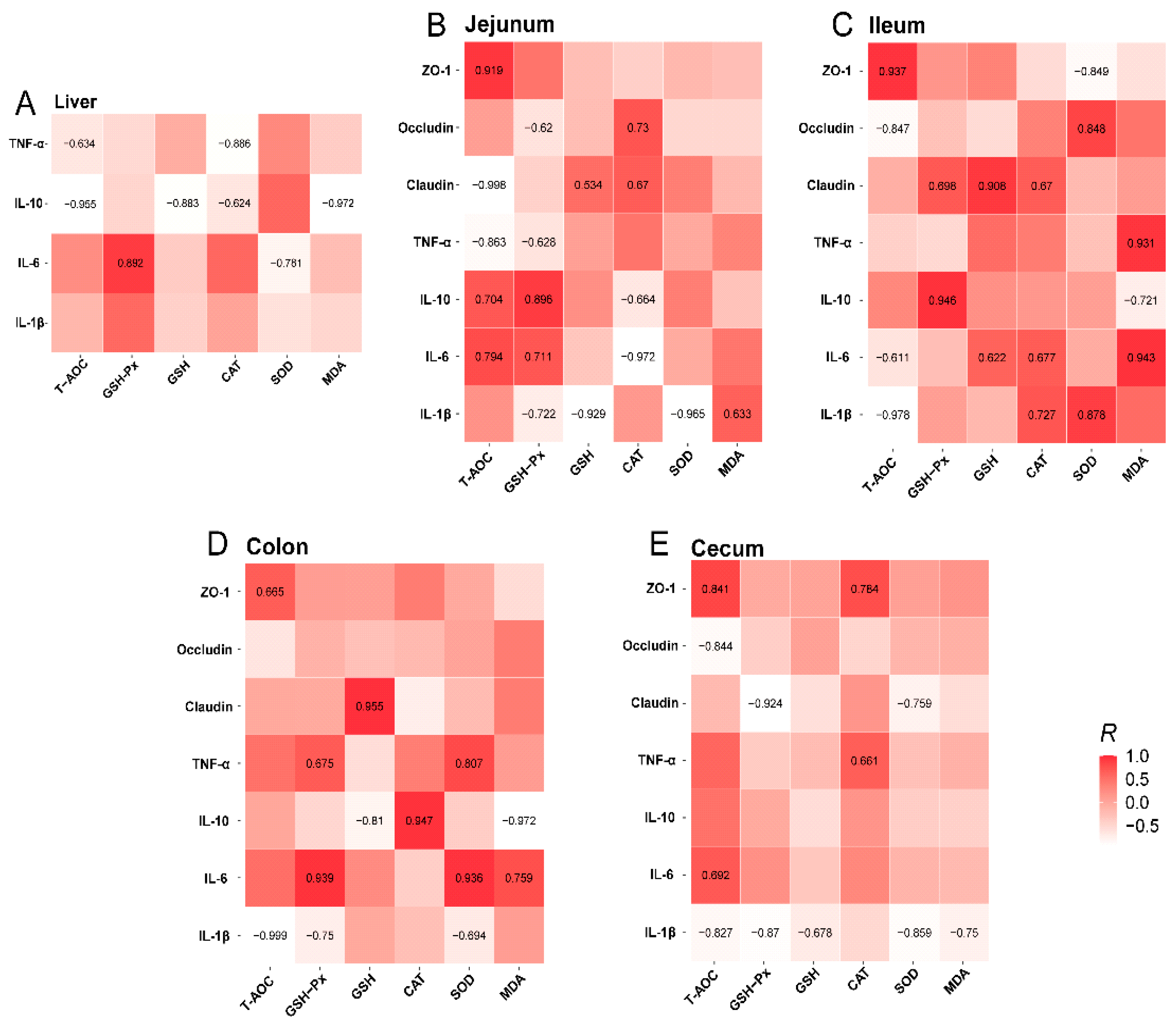 Vetsci 12 00395 g008