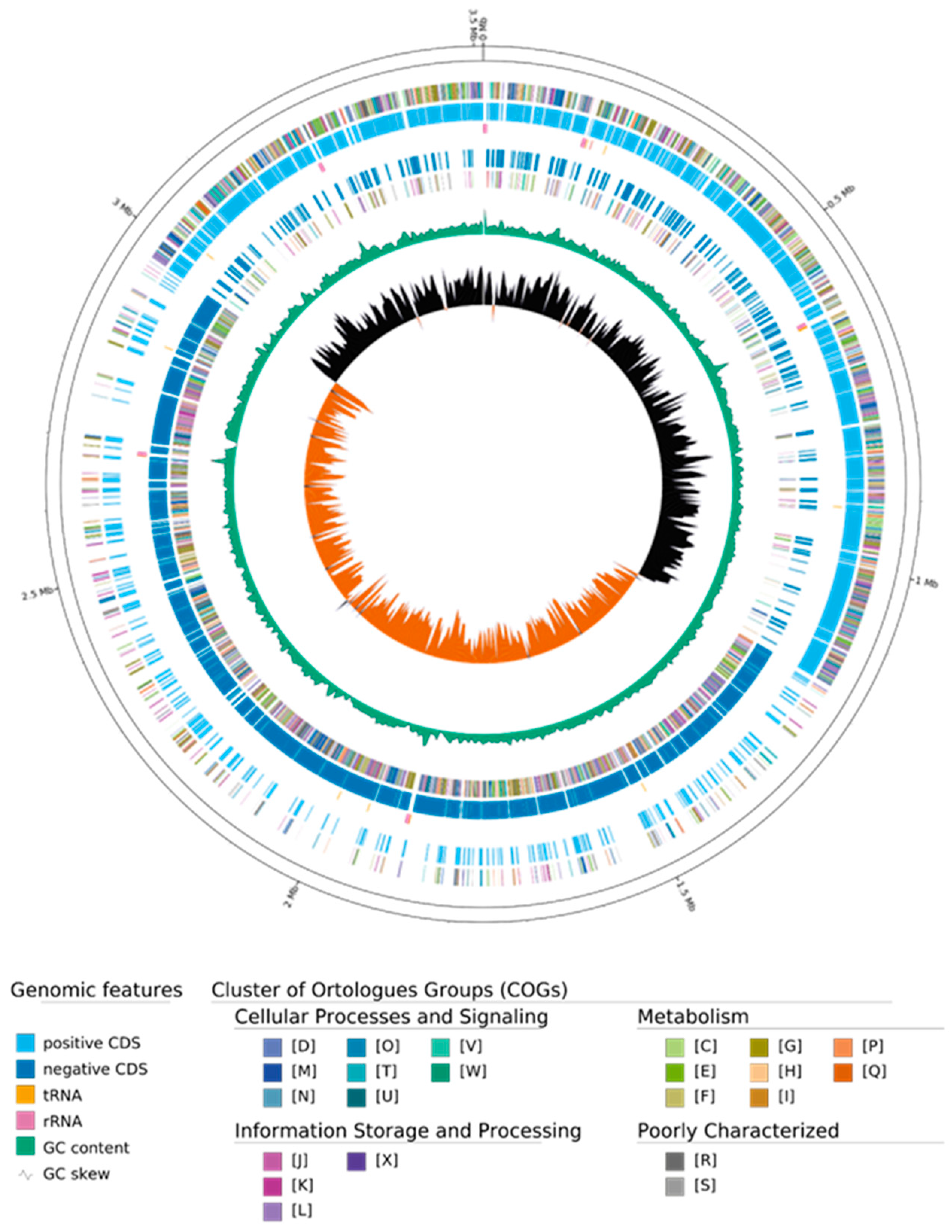 Vetsci 12 00410 g001
