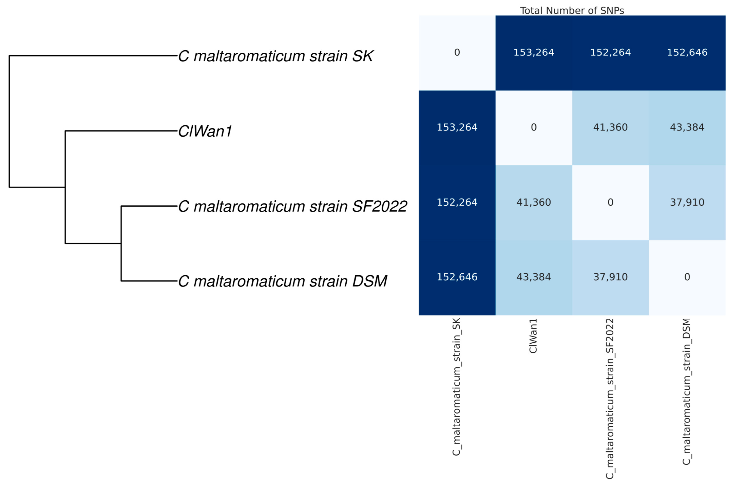 Vetsci 12 00410 g004