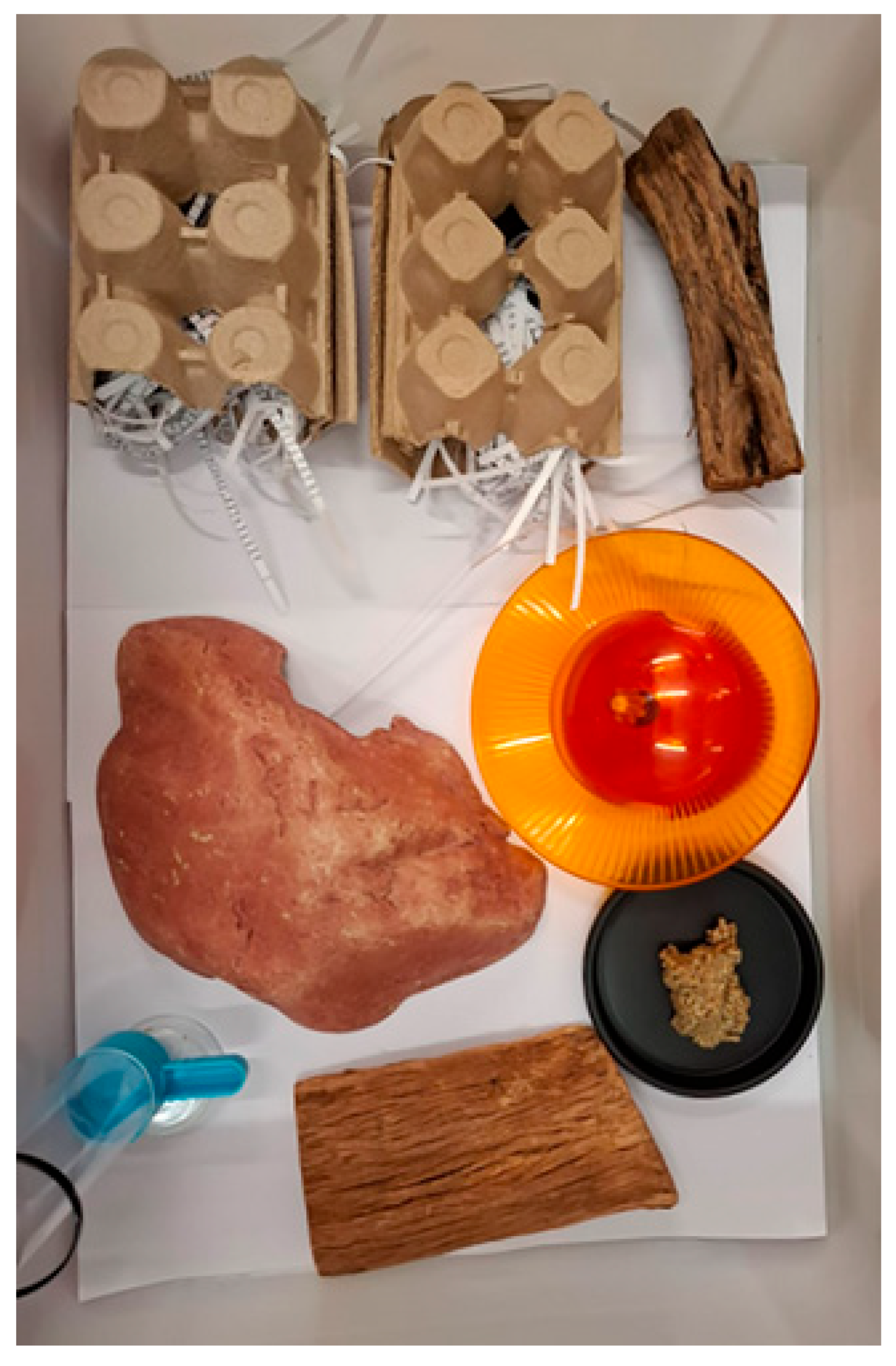 Vetsci 12 00625 g001 Vetsci 12 00625 g001