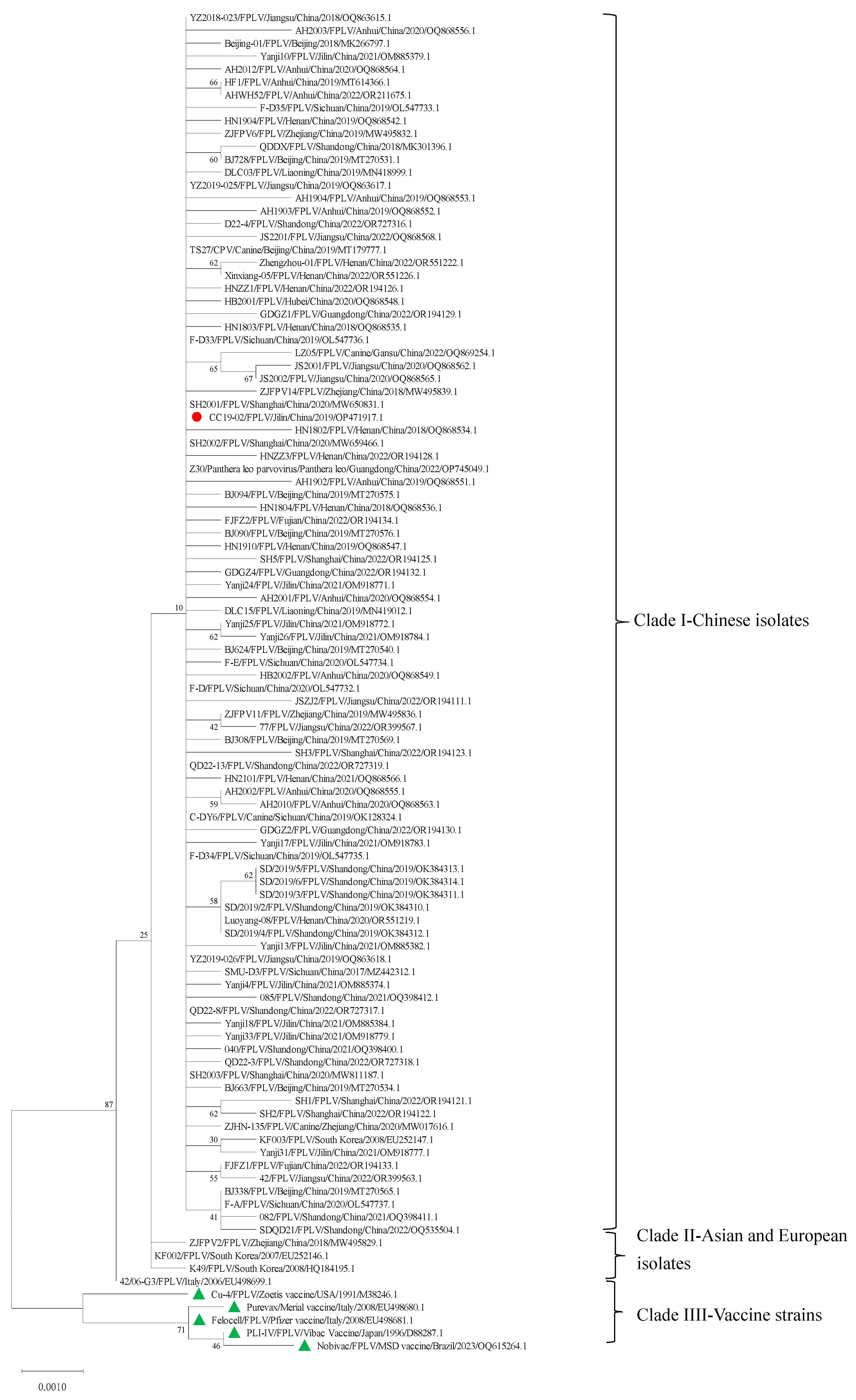 Vetsci 12 00668 g002 Vetsci 12 00668 g002