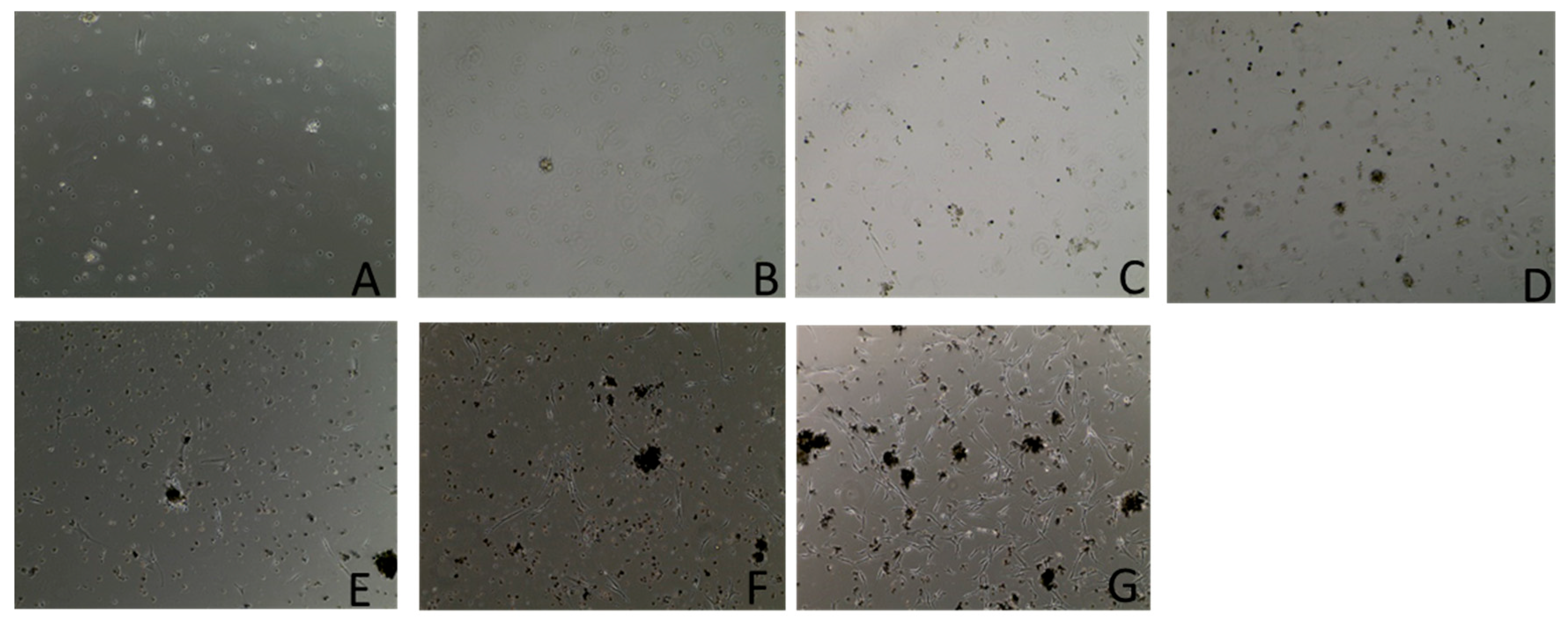 Vetsci 12 00905 g004 Vetsci 12 00905 g004