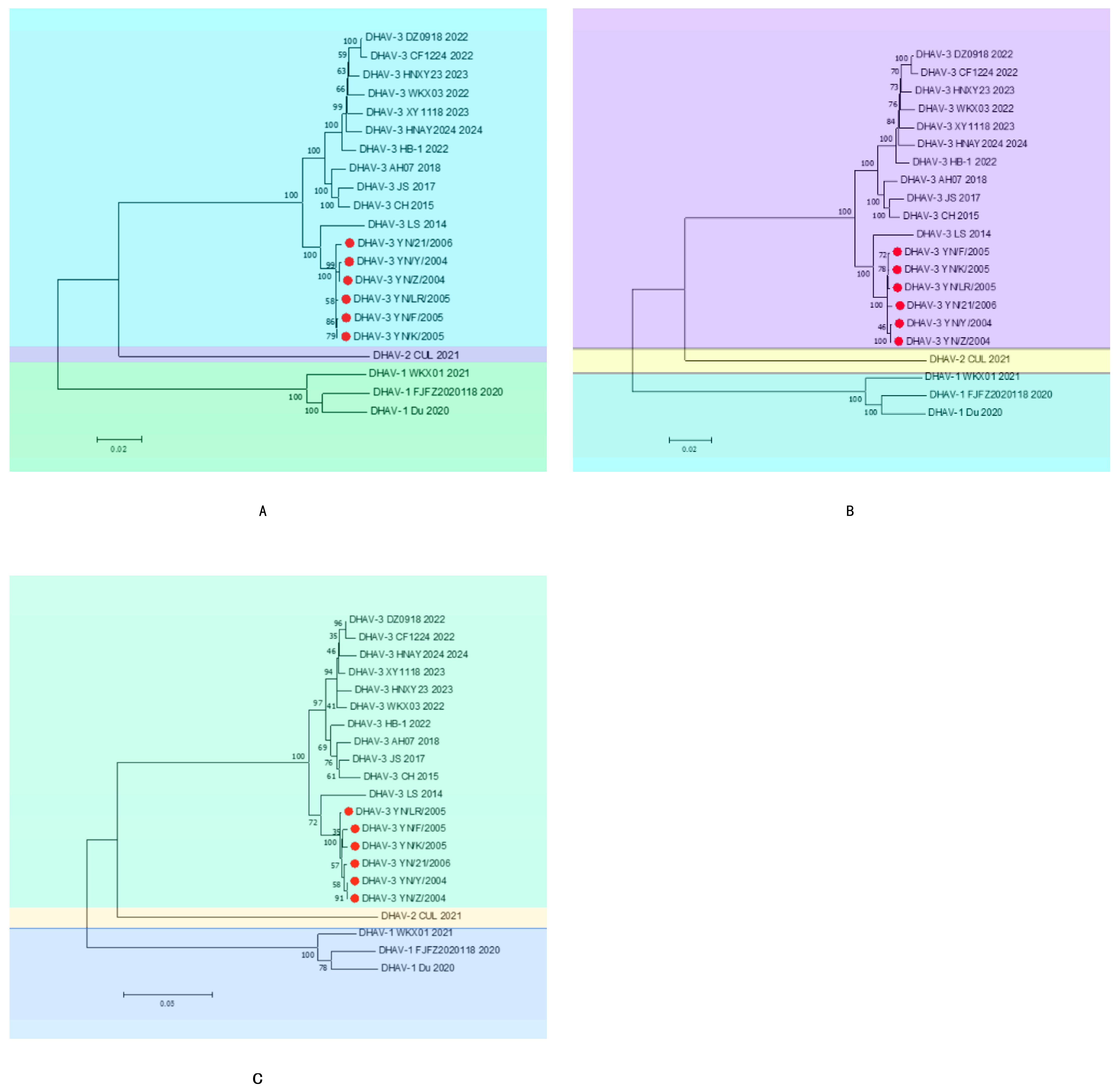 Vetsci 12 00923 g002 Vetsci 12 00923 g002