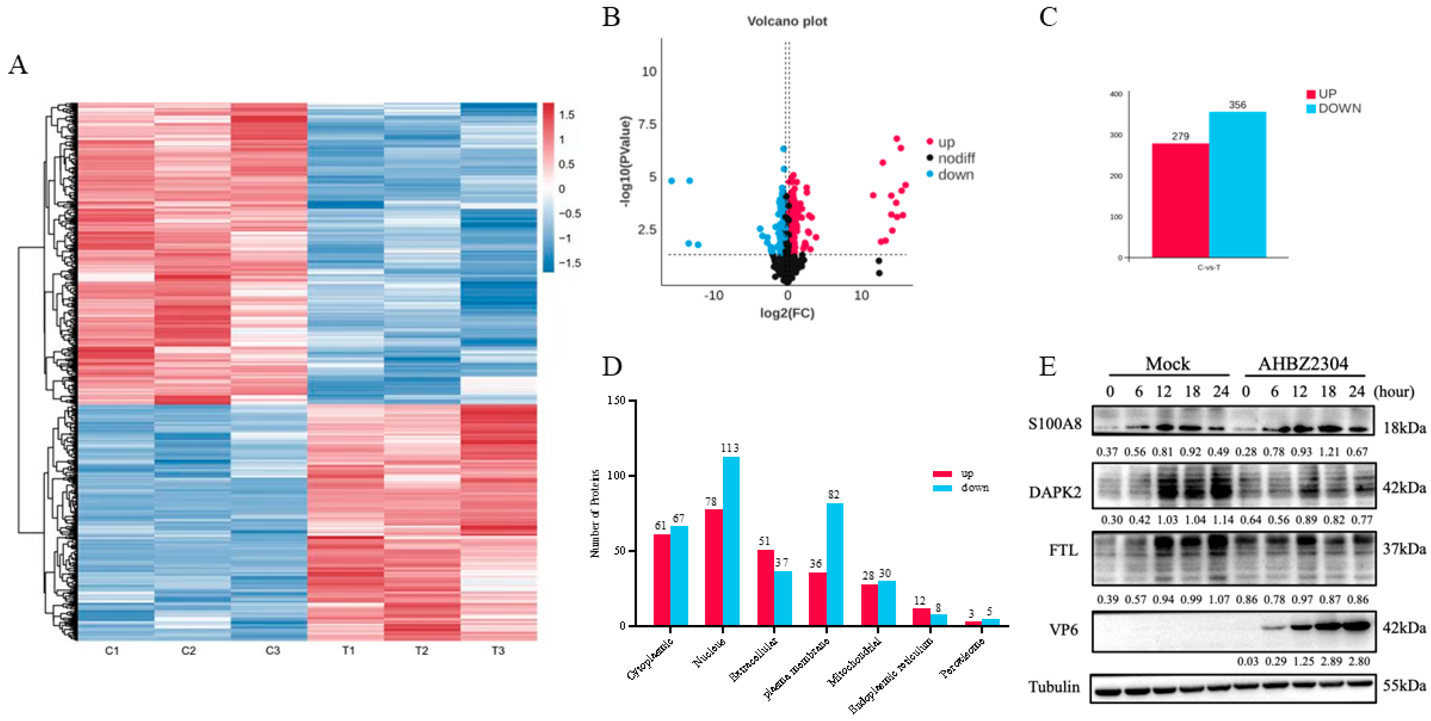 Vetsci 12 00946 g002 Vetsci 12 00946 g002