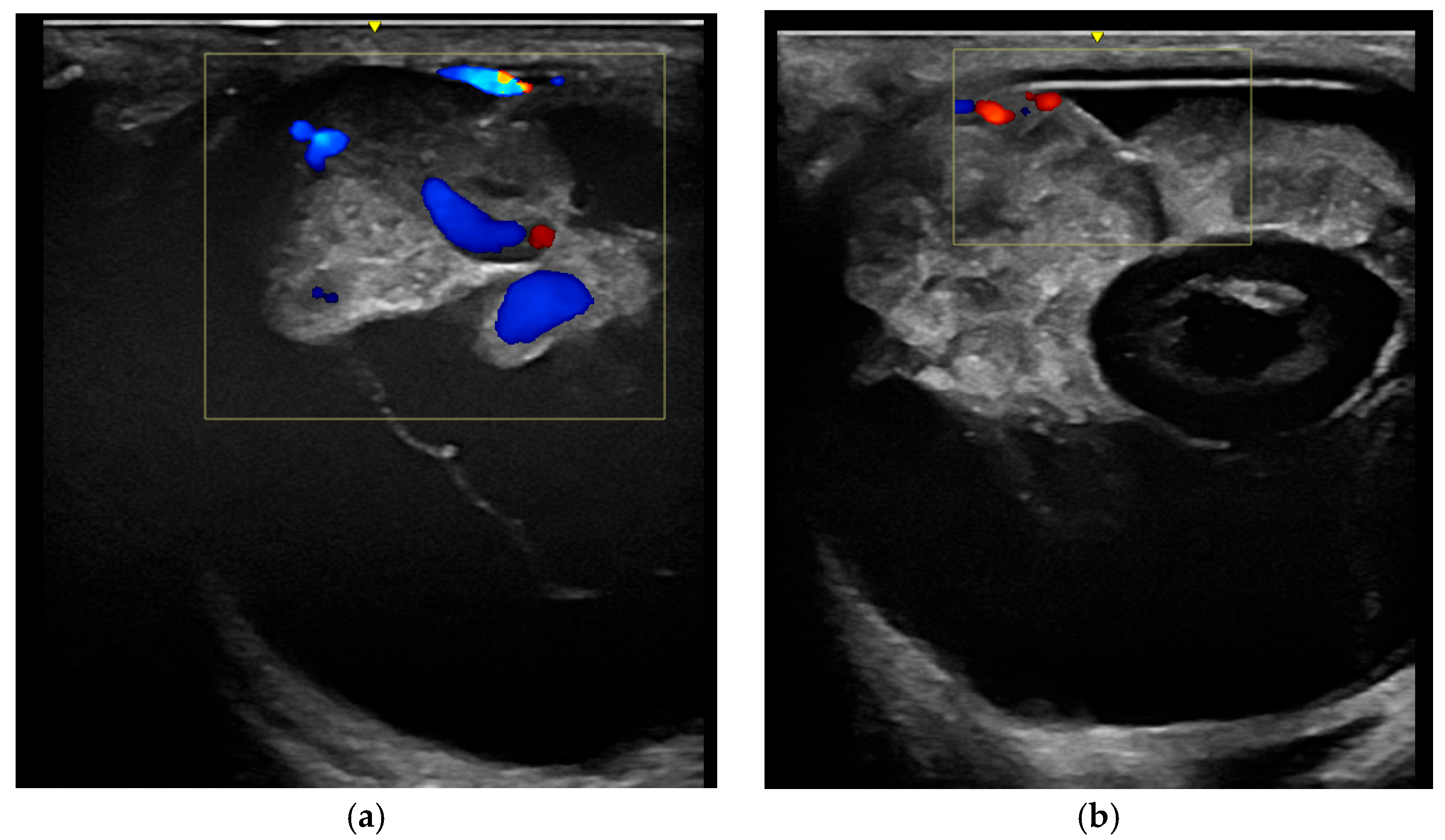 Vetsci 12 01006 g004 Vetsci 12 01006 g004