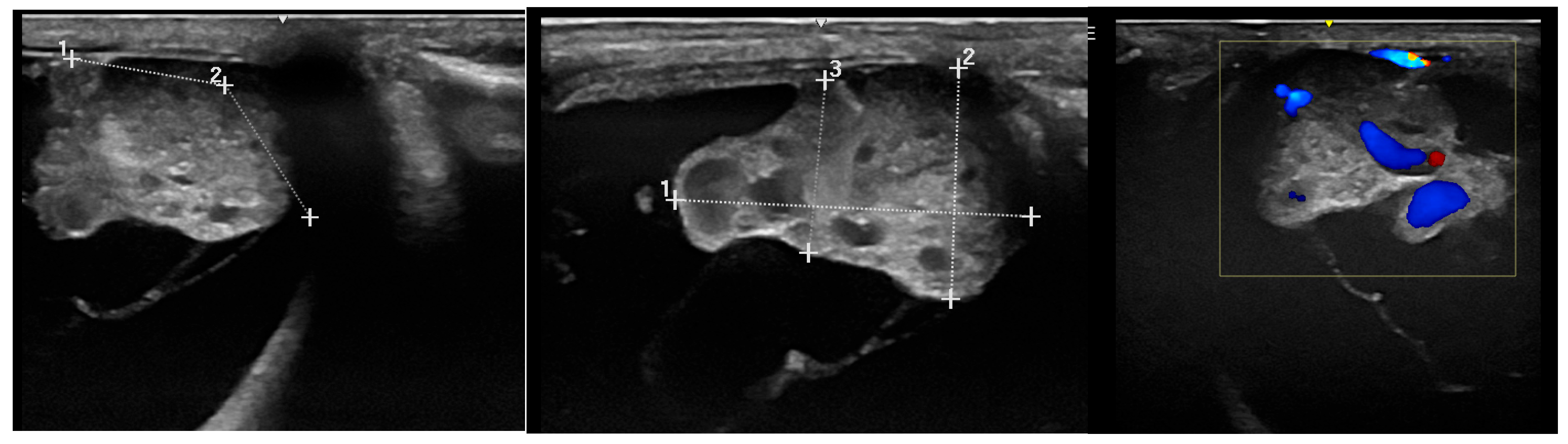 Vetsci 12 01006 g009 Vetsci 12 01006 g009