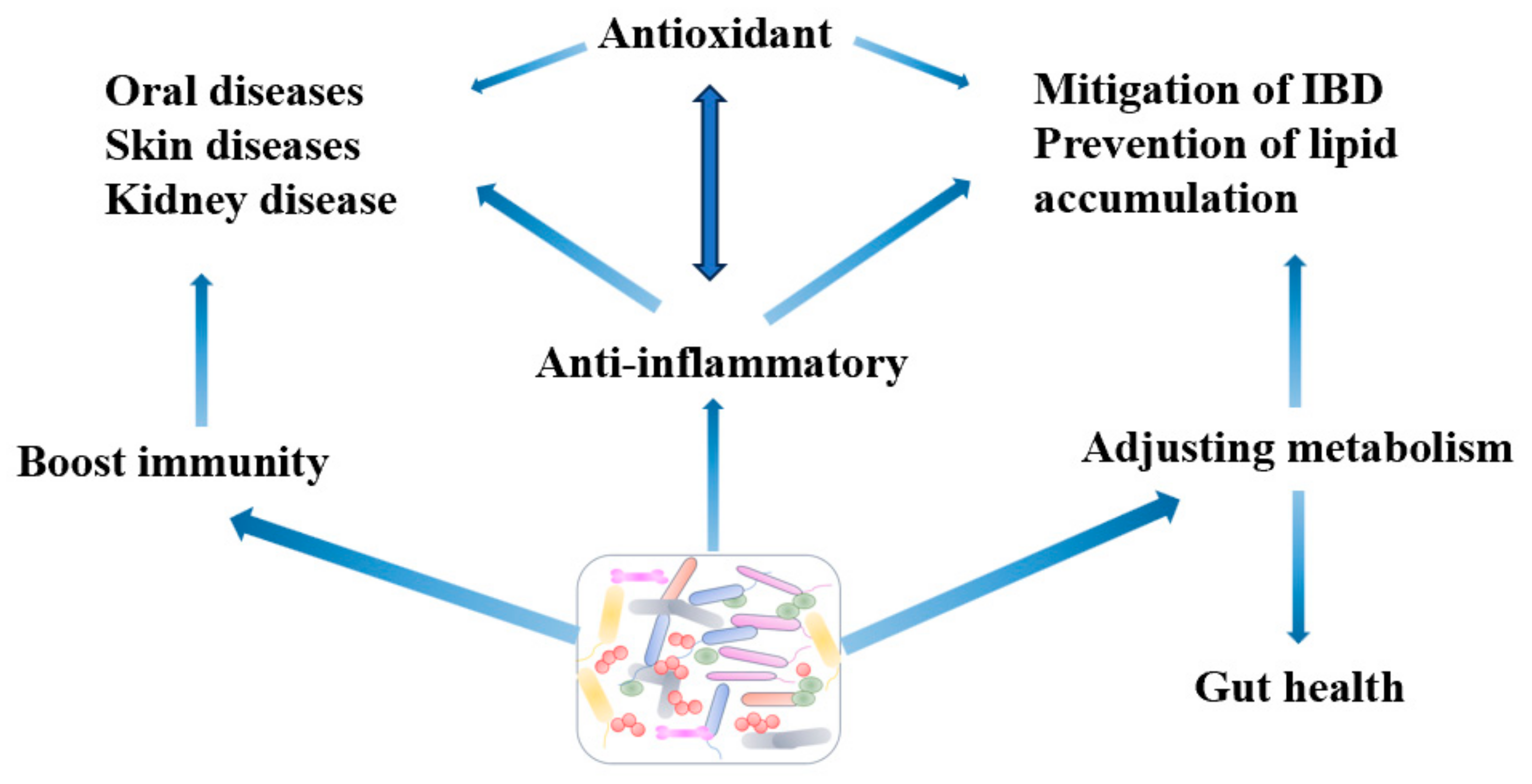 Vetsci 12 01008 g001 Vetsci 12 01008 g001