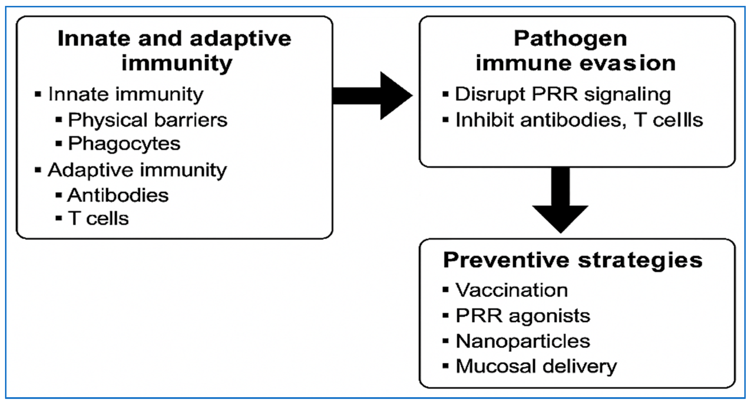 Vetsci 12 01014 g002 Vetsci 12 01014 g002