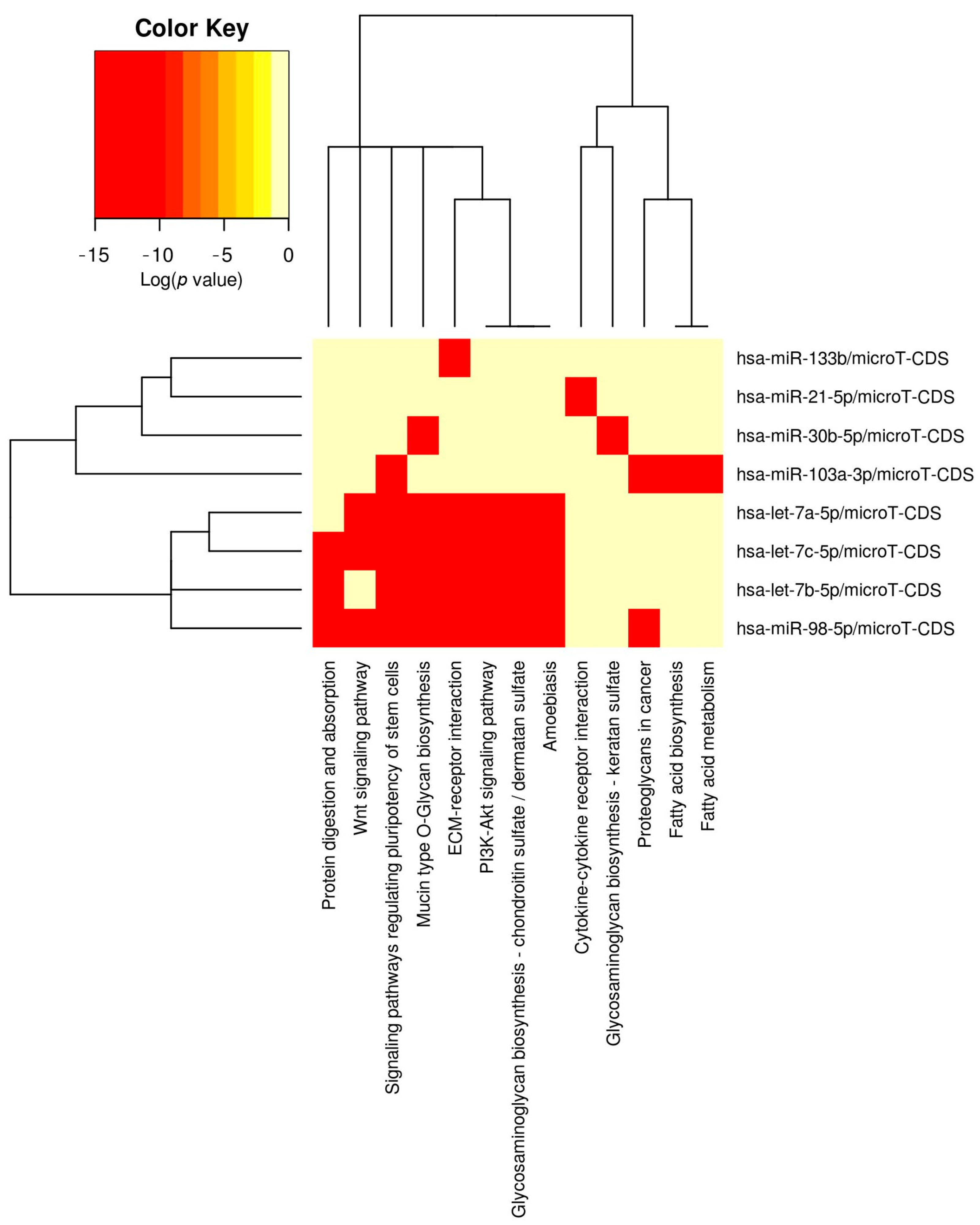 Vetsci 12 01029 g001 Vetsci 12 01029 g001