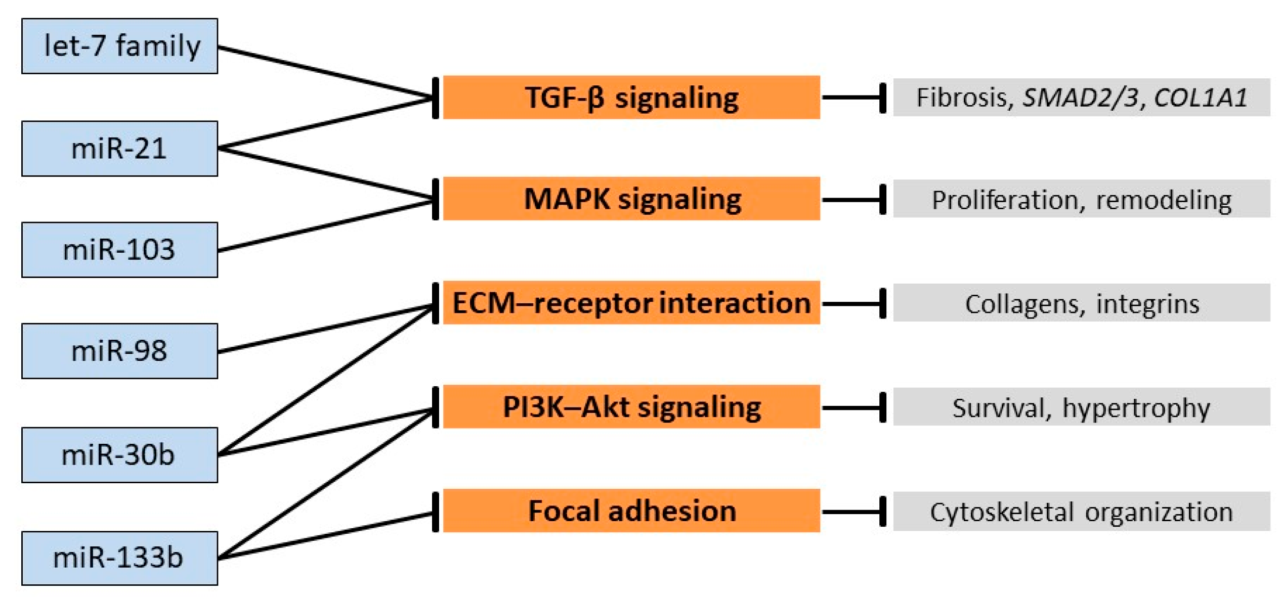 Vetsci 12 01029 g002 Vetsci 12 01029 g002