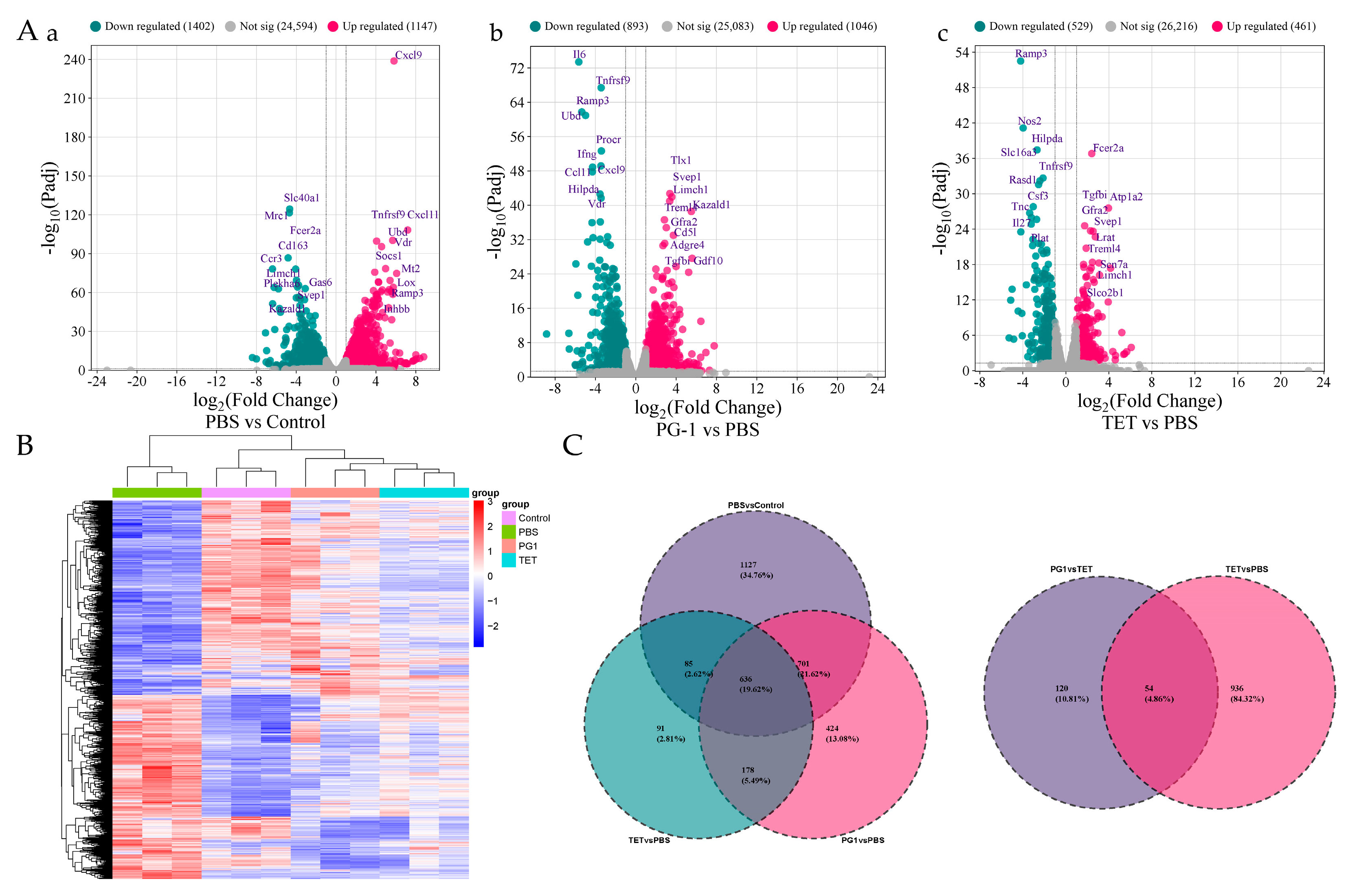 Vetsci 12 01030 g005 Vetsci 12 01030 g005